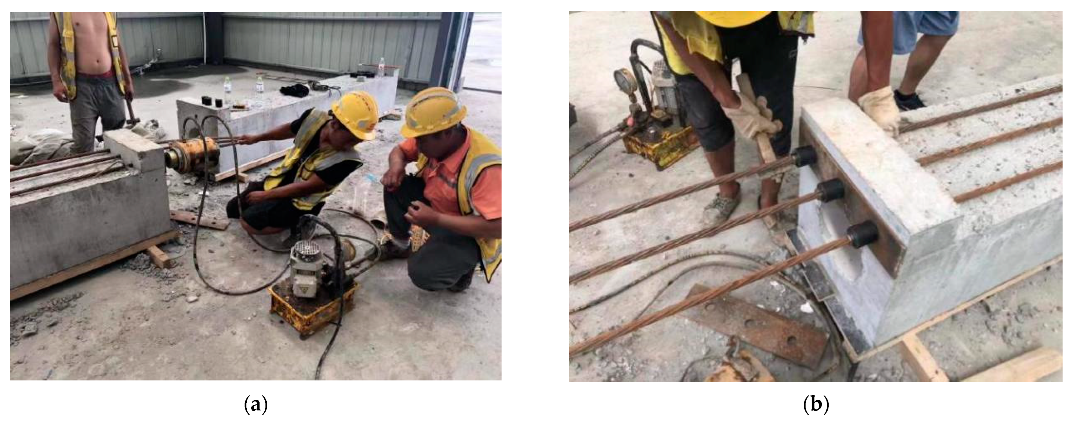 Coatings 13 00458 g005