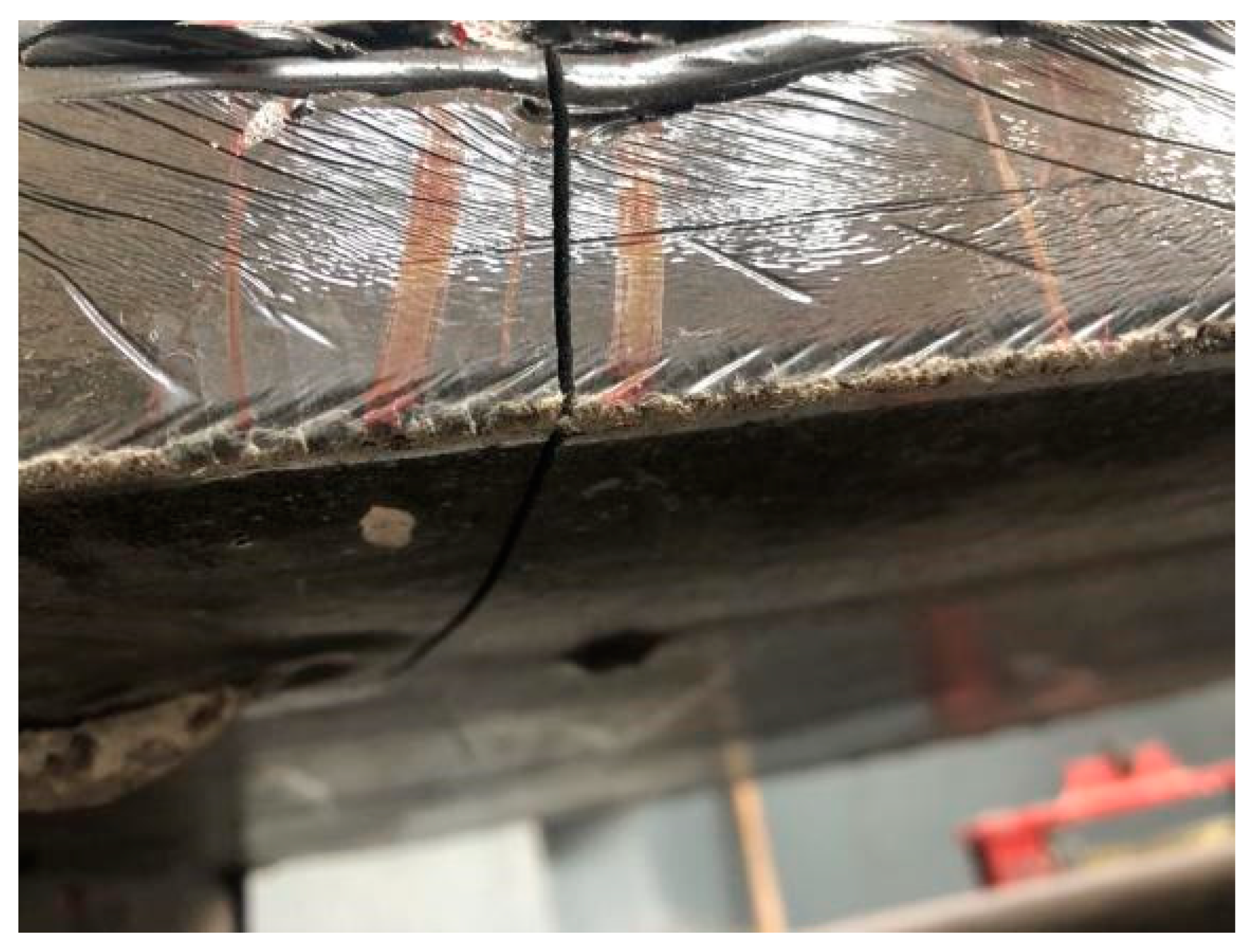 Coatings 13 00458 g009