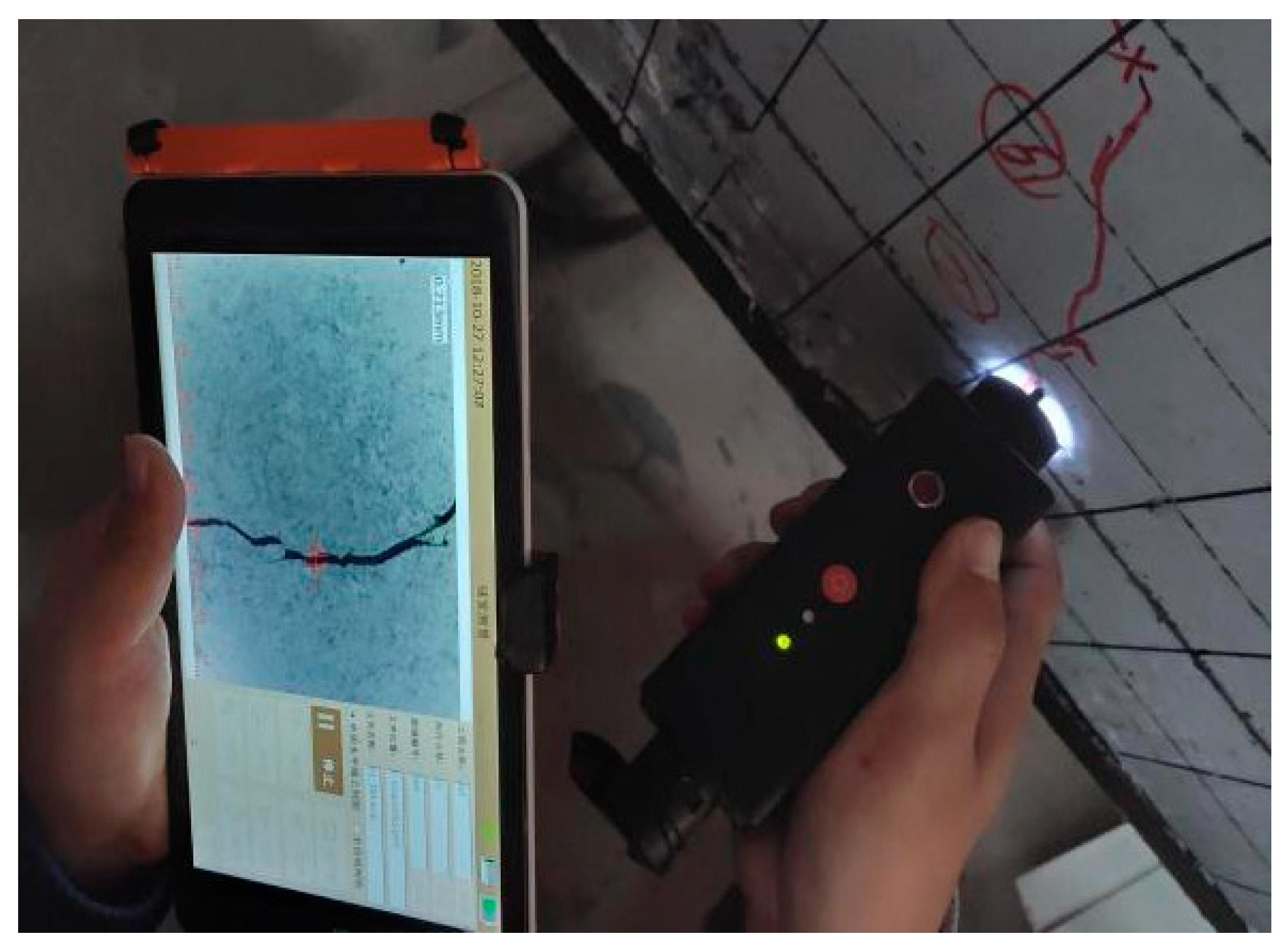 Coatings 13 00458 g010