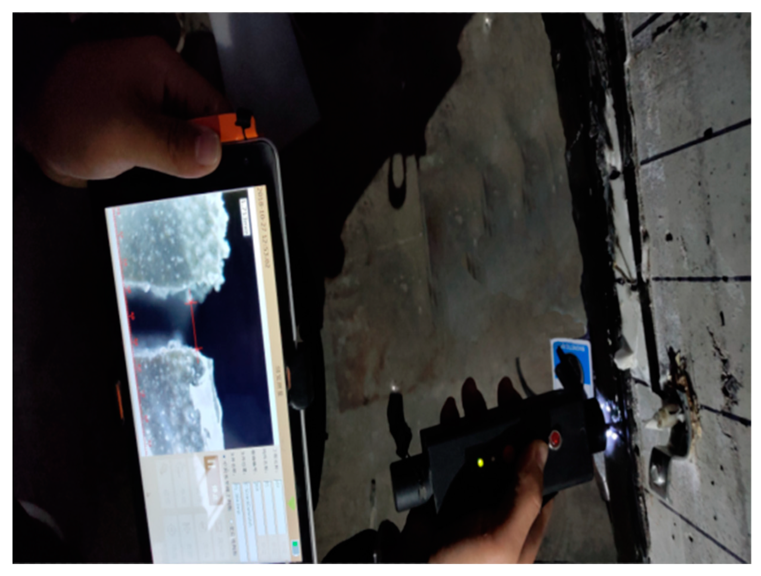 Coatings 13 00458 g011