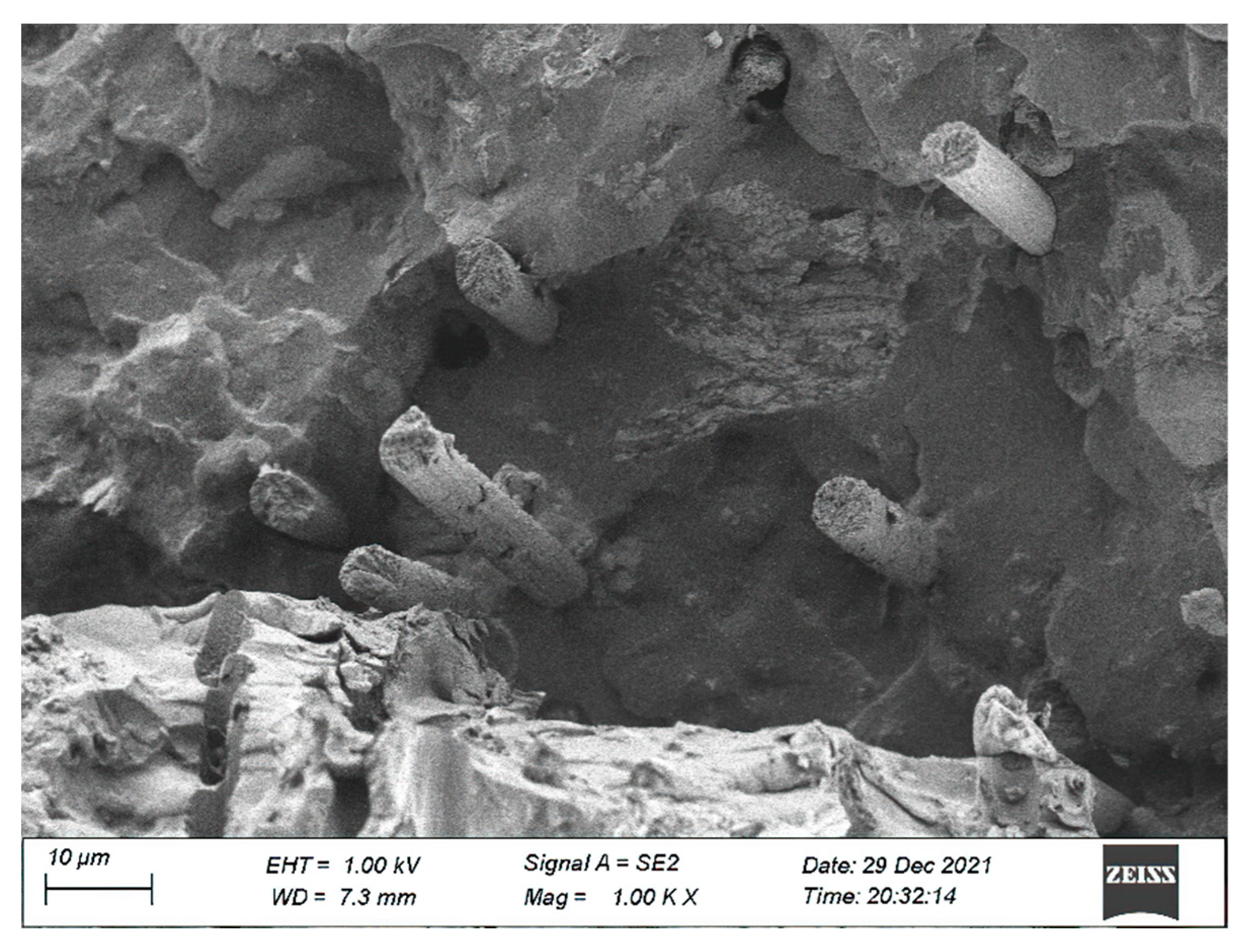 Coatings 13 00458 g019