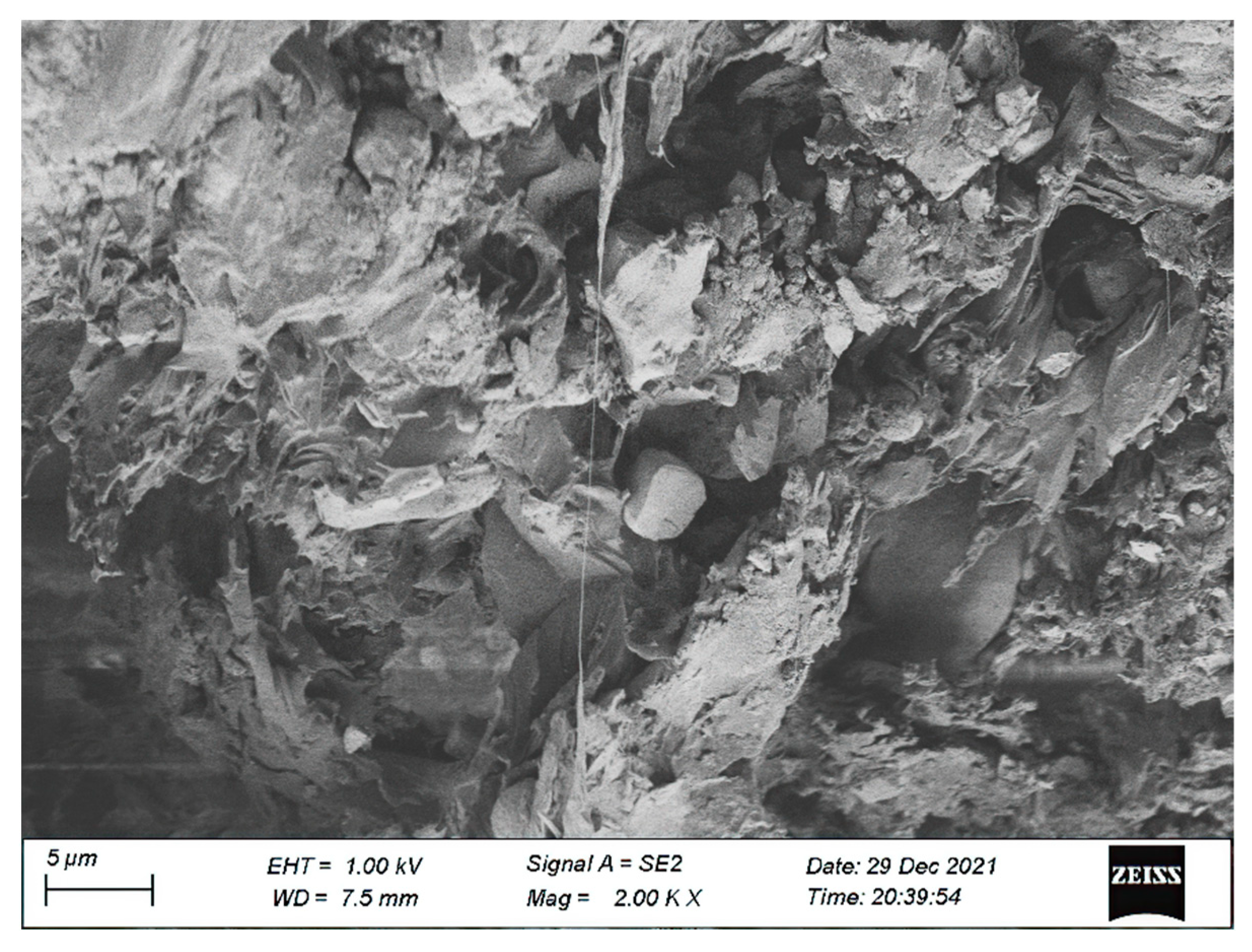 Coatings 13 00458 g020