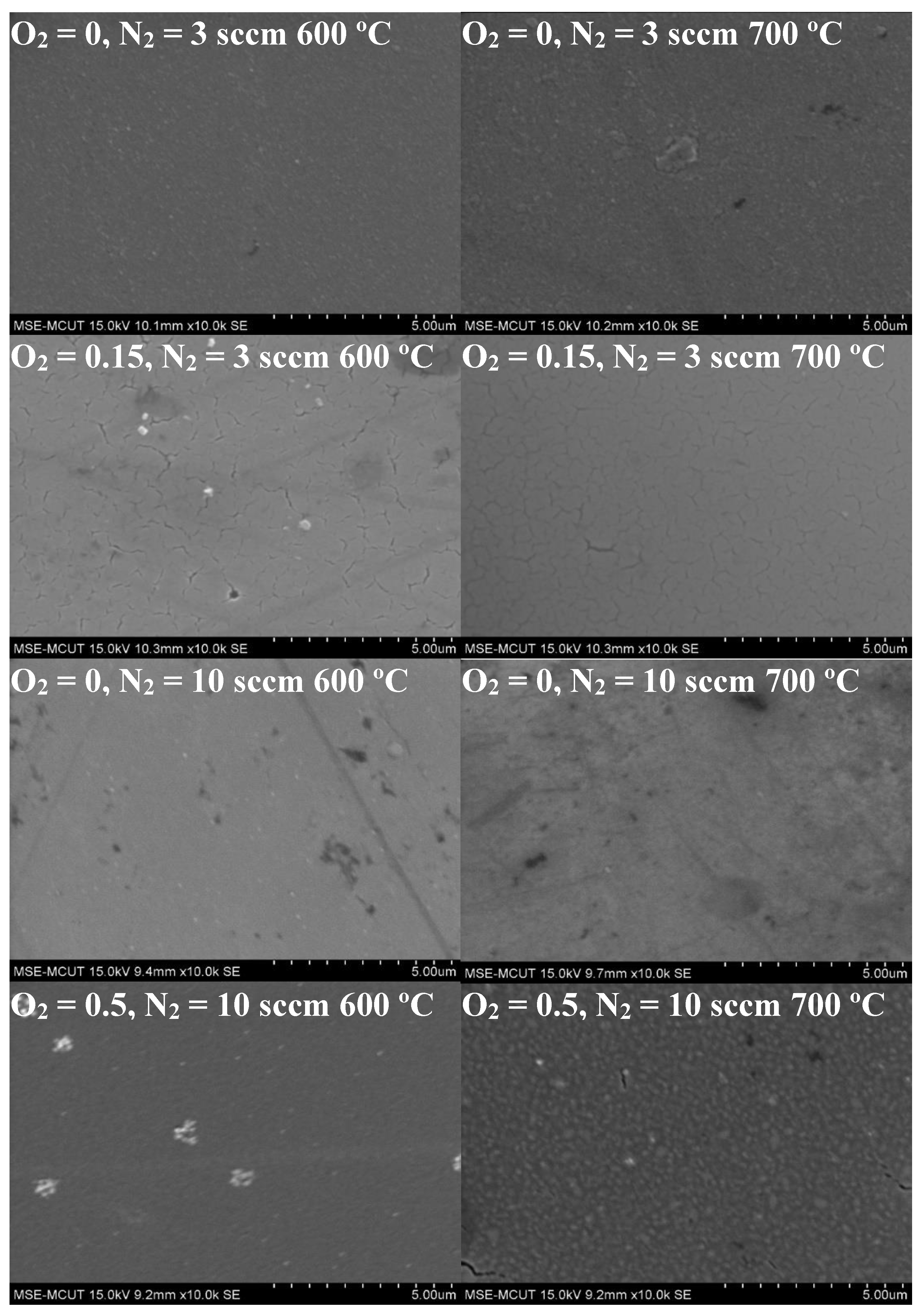 Coatings 13 00459 g005 Coatings 13 00459 g005