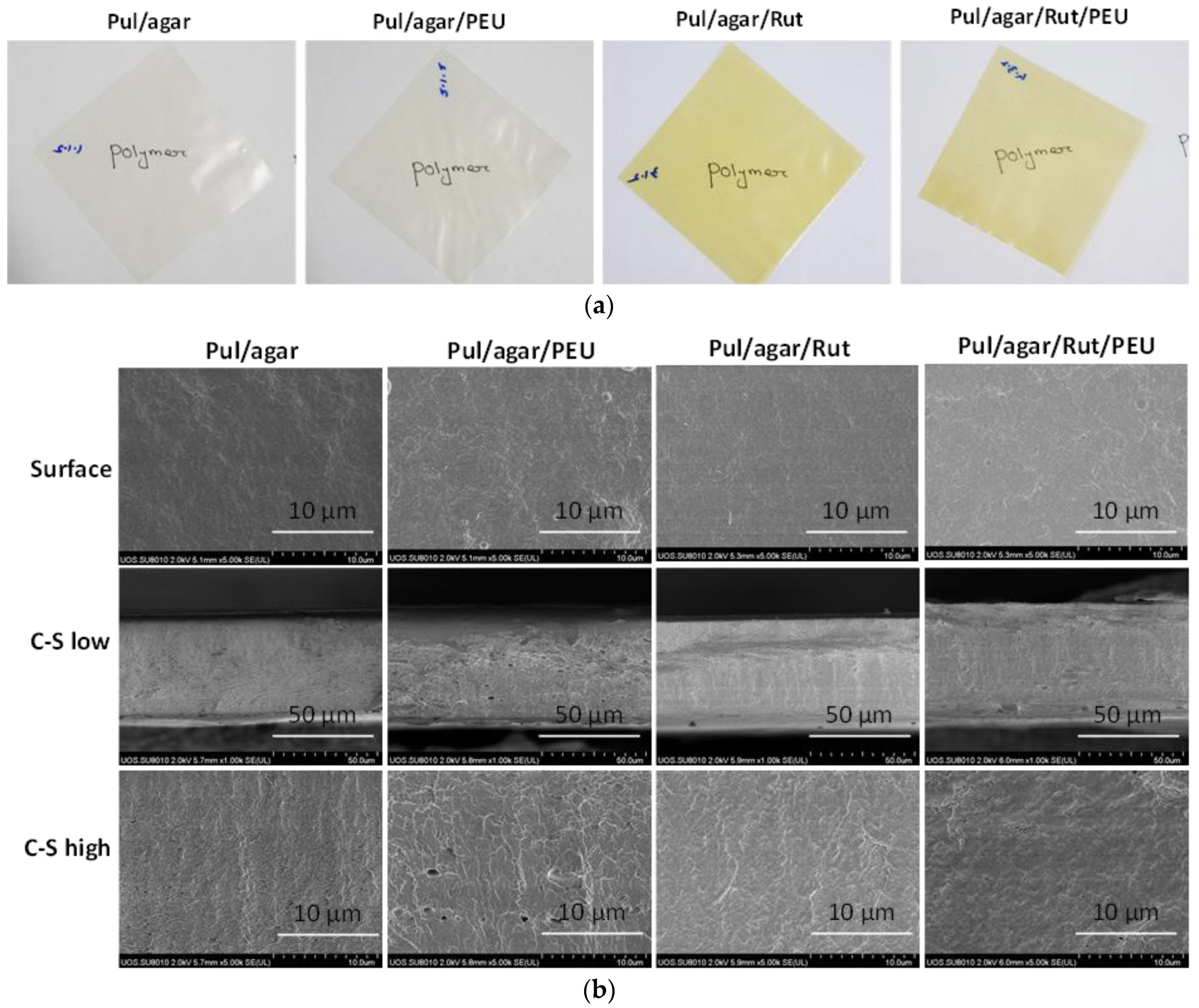 Coatings 13 00460 g001