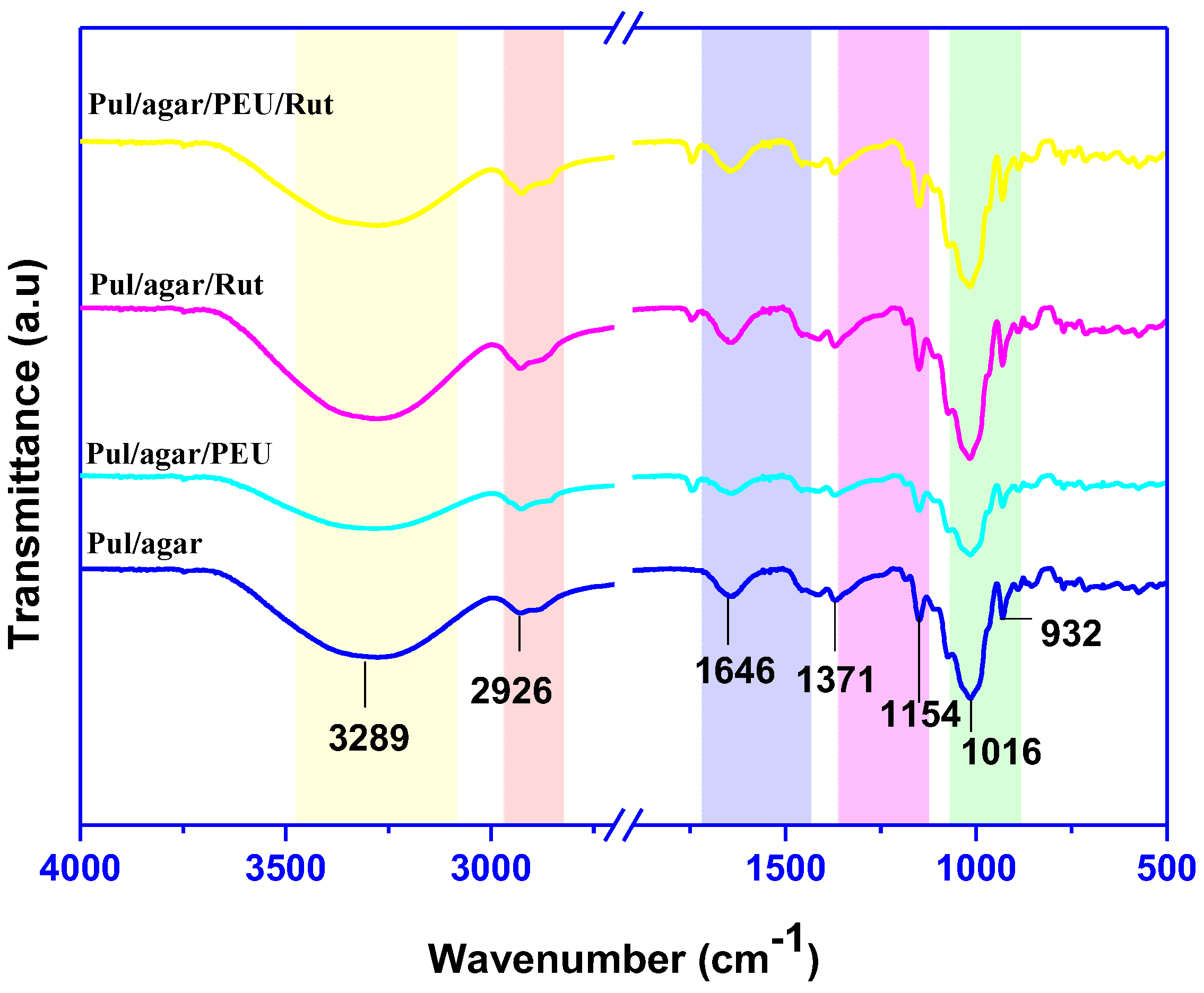Coatings 13 00460 g002