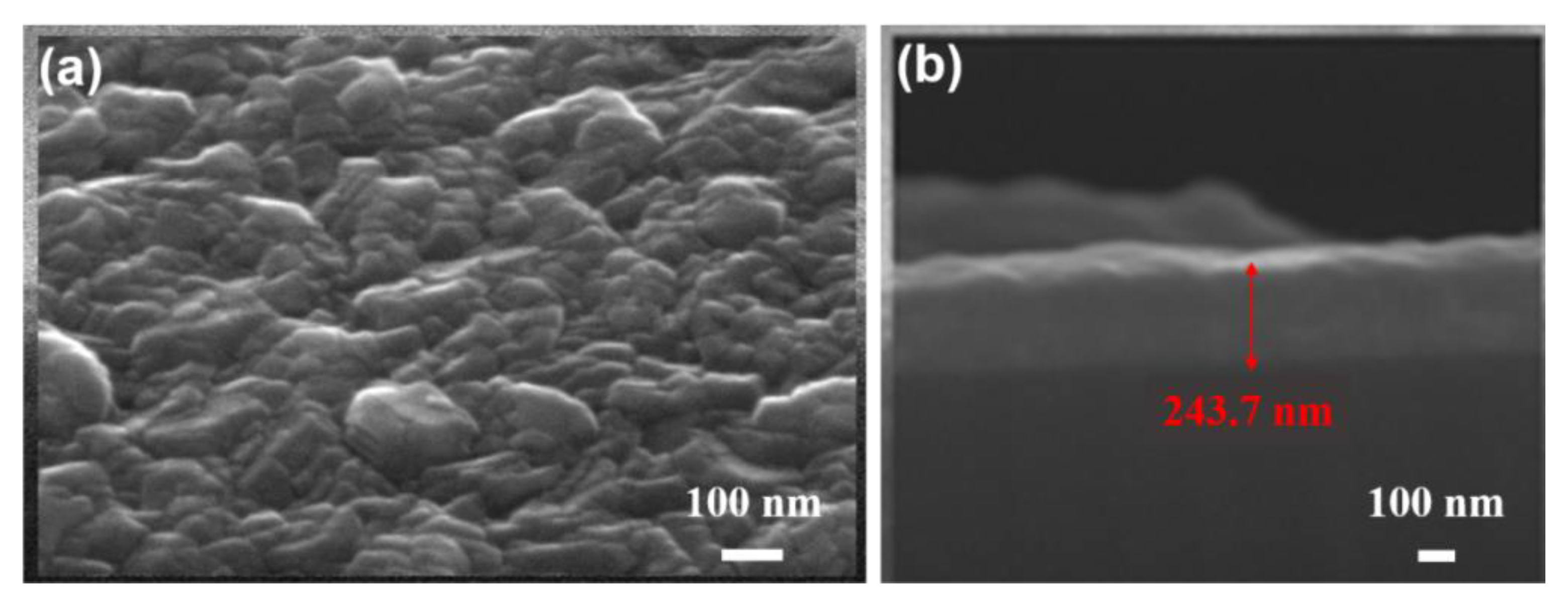 Coatings 13 00461 g002