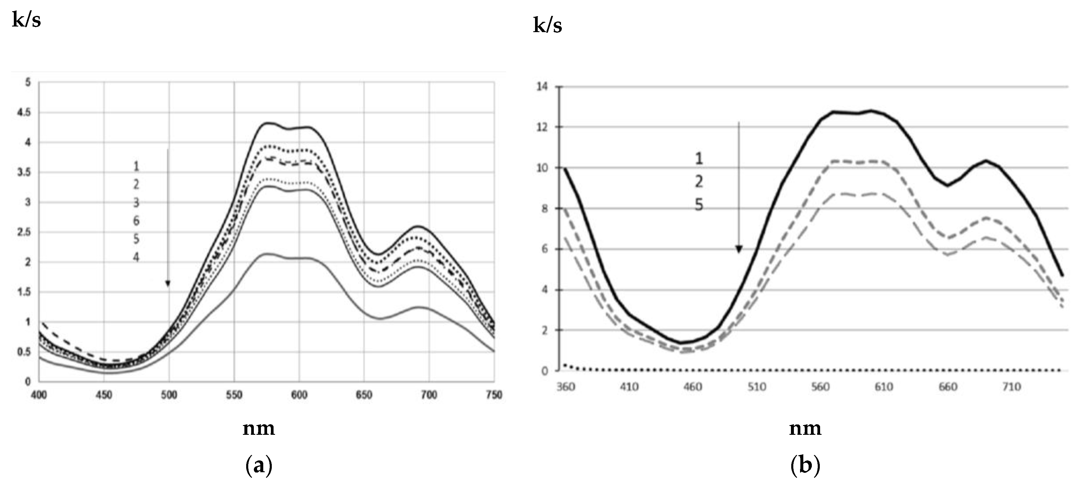 Coatings 13 00462 g001