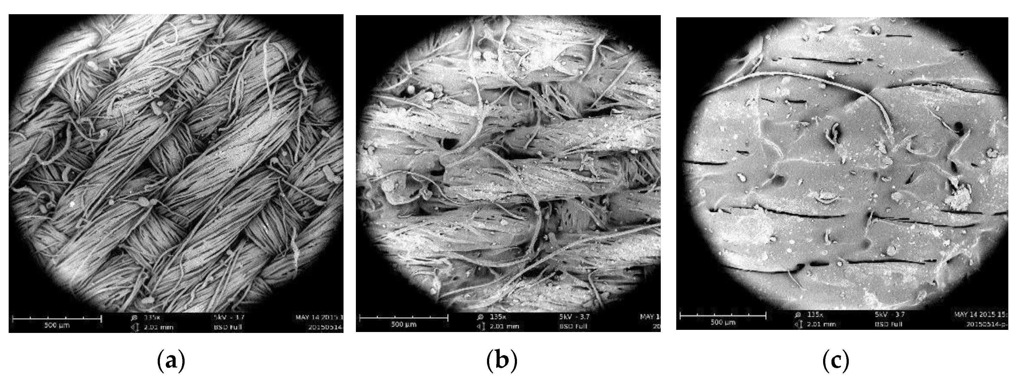 Coatings 13 00462 g002