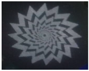 Coatings 13 00462 i002