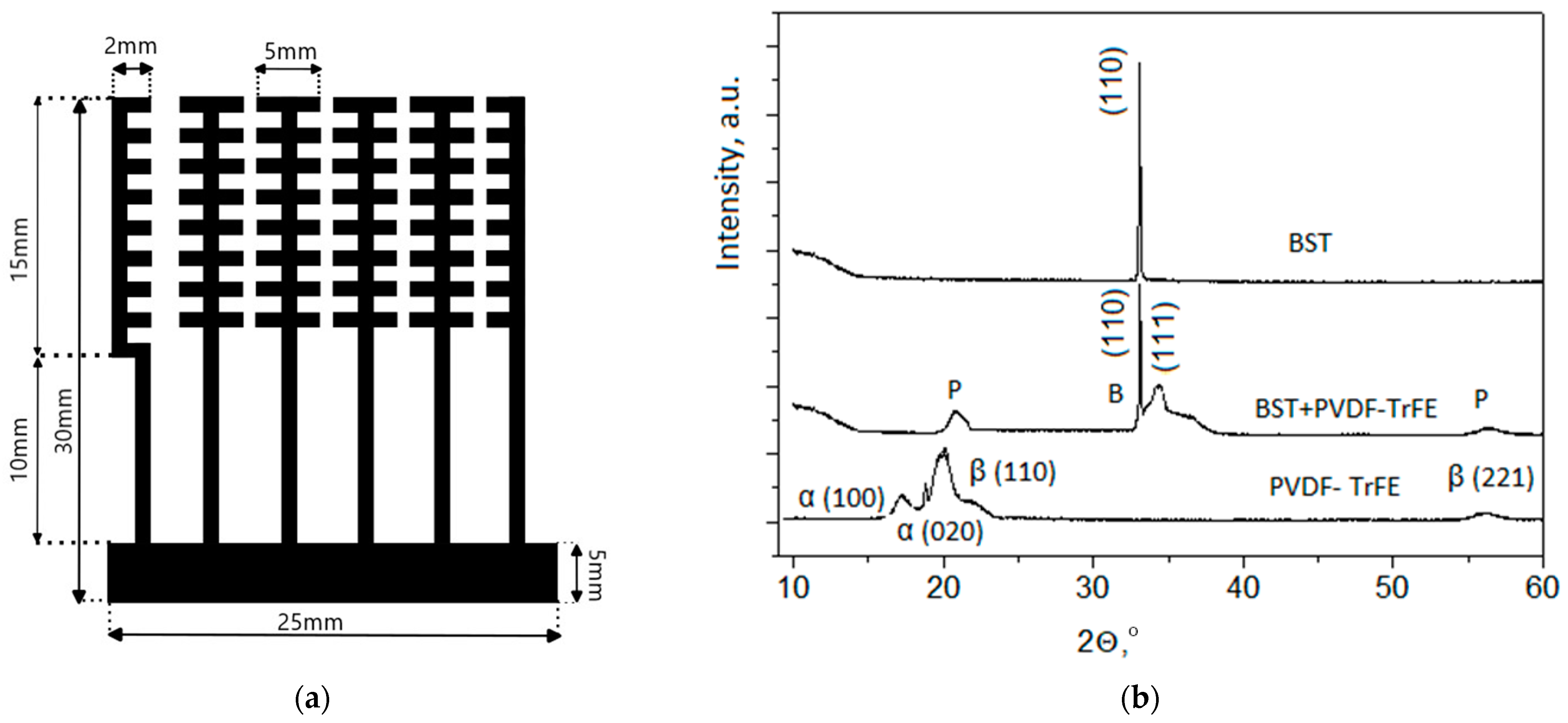 Coatings 13 00464 g001