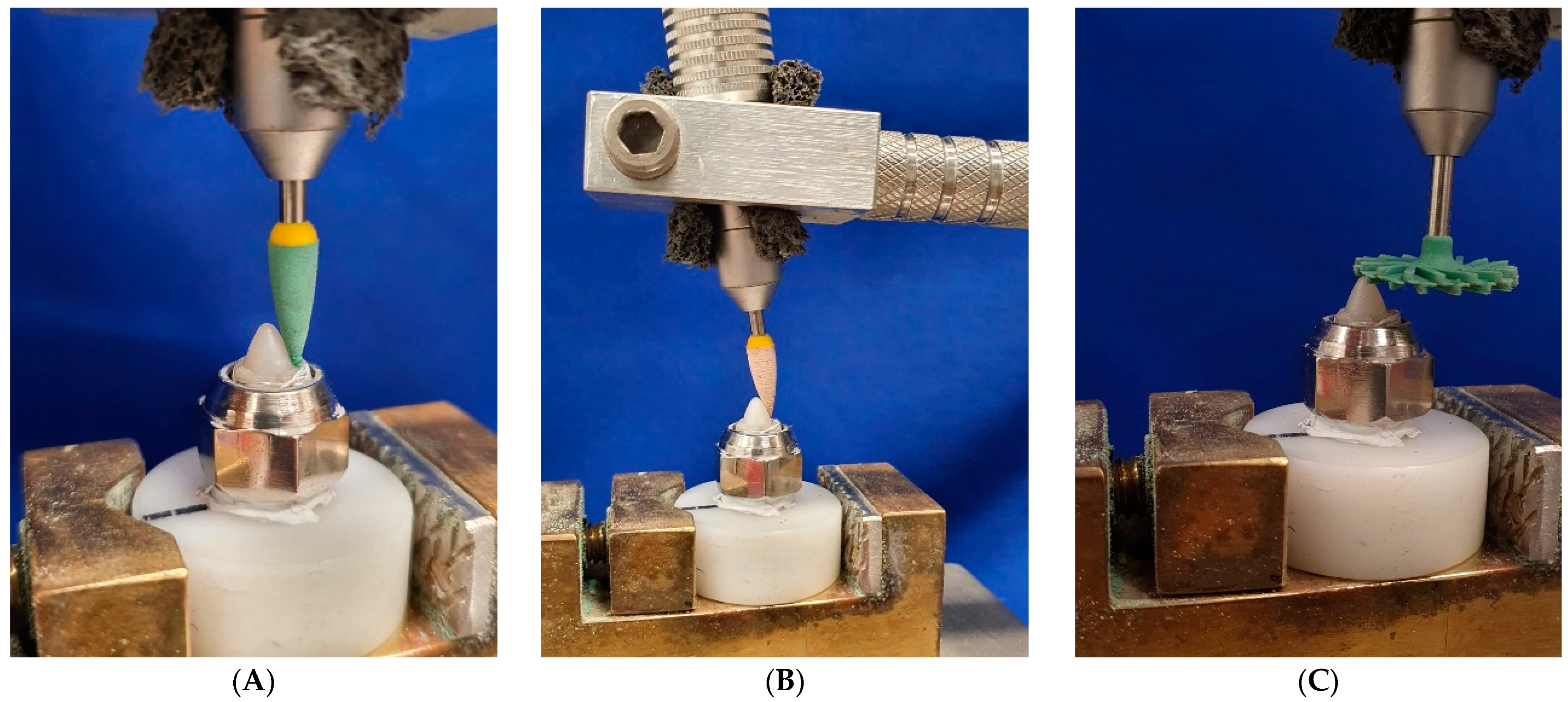 Coatings 13 00466 g003