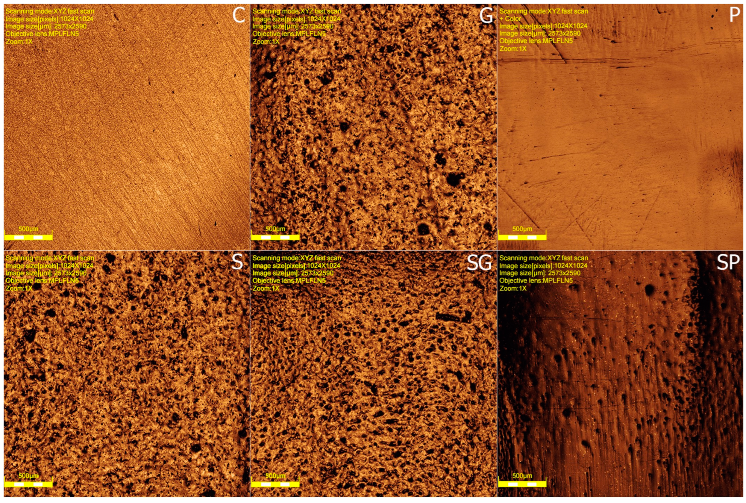 Coatings 13 00466 g004