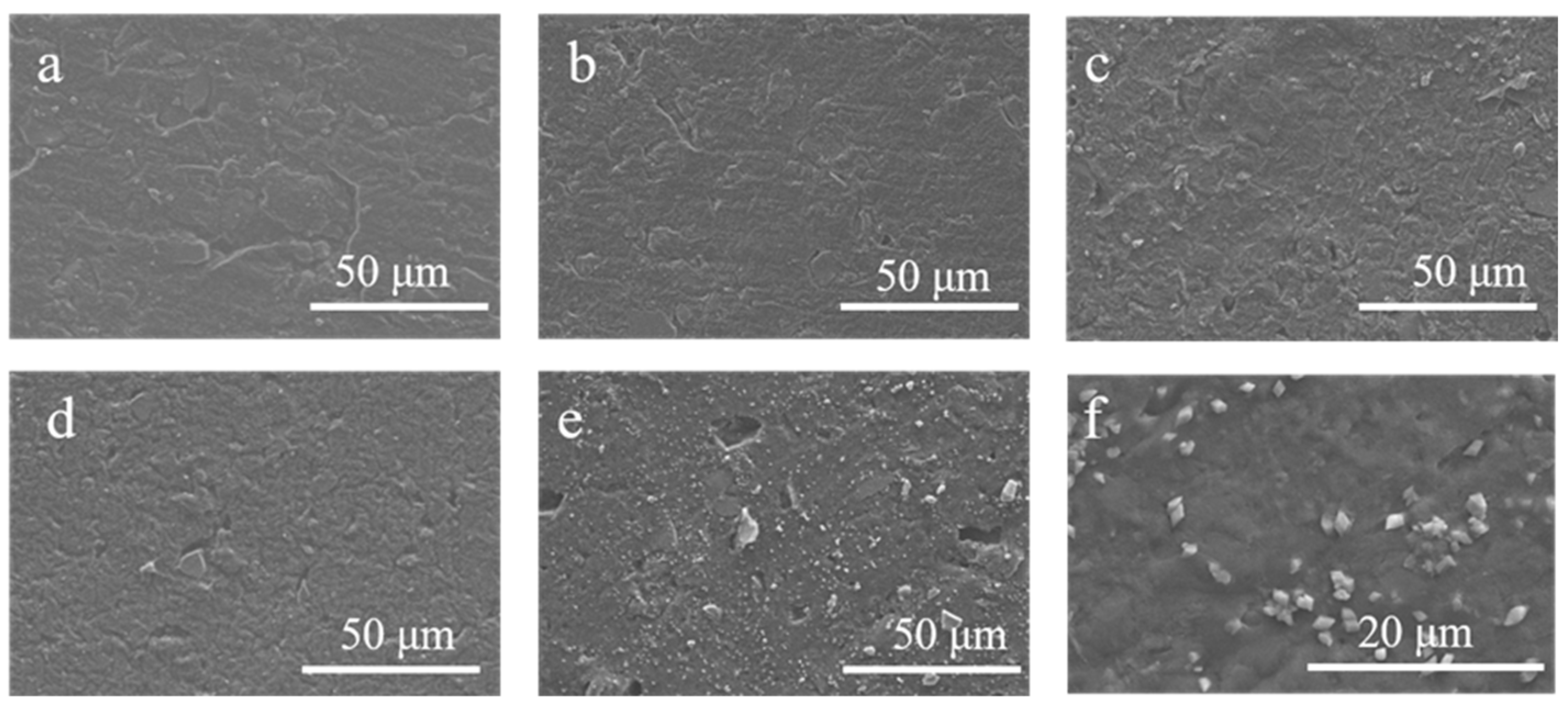 Coatings 13 00468 g002 Coatings 13 00468 g002
