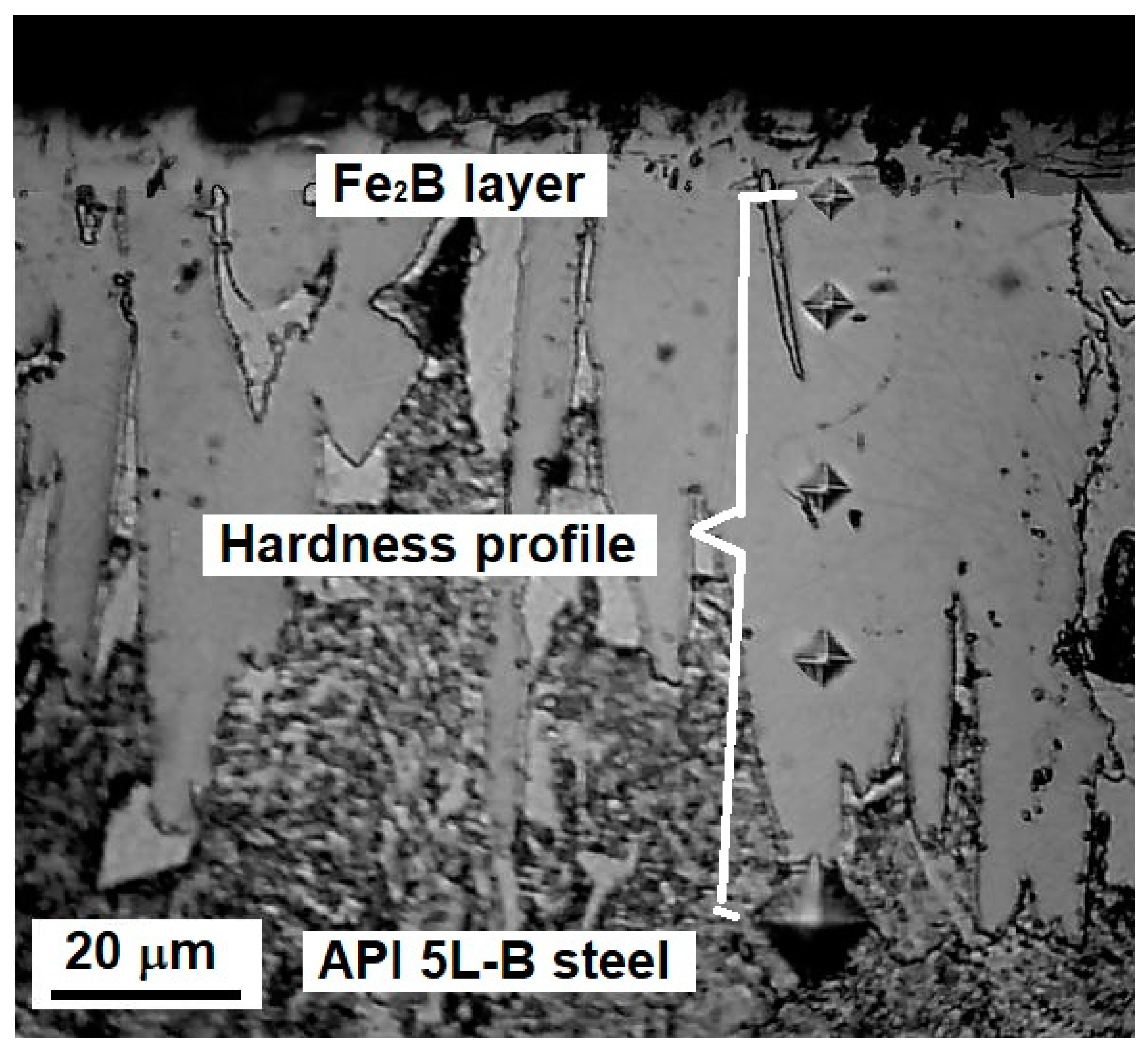 Coatings 13 00470 g003 Coatings 13 00470 g003