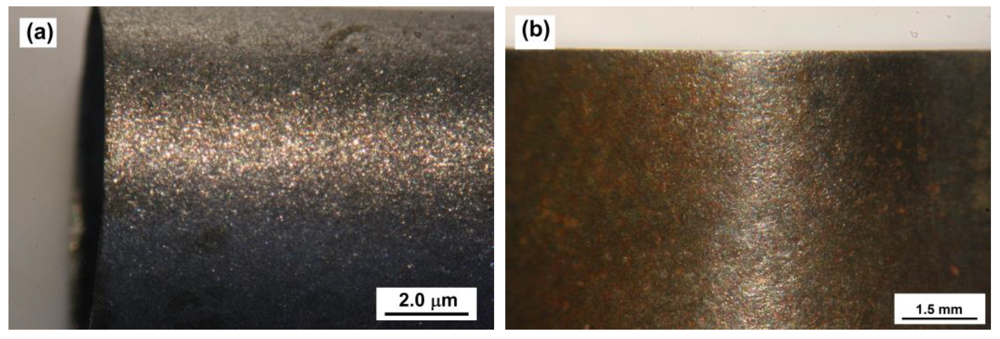 Coatings 13 00470 g012 Coatings 13 00470 g012