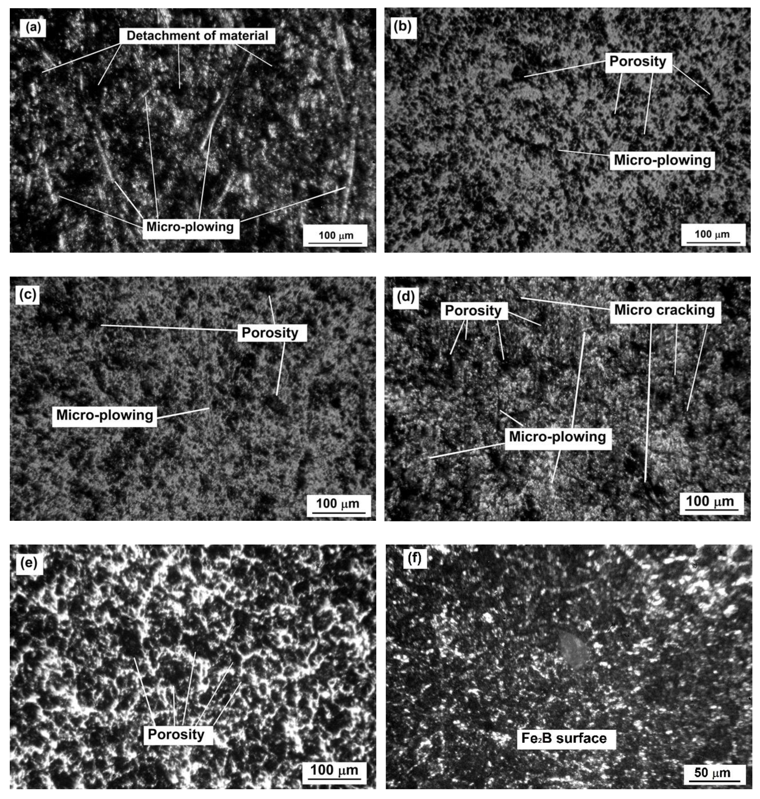 Coatings 13 00470 g013 Coatings 13 00470 g013