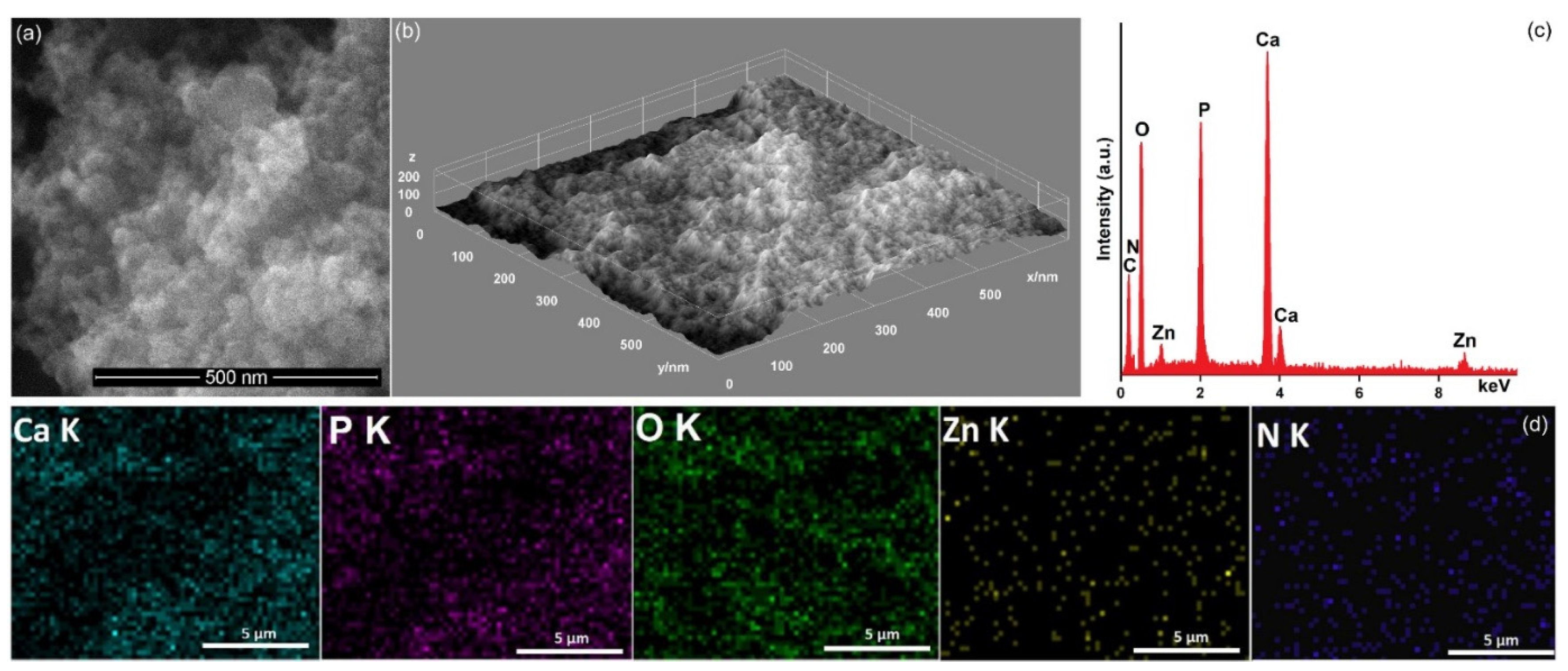 Coatings 13 00472 g002