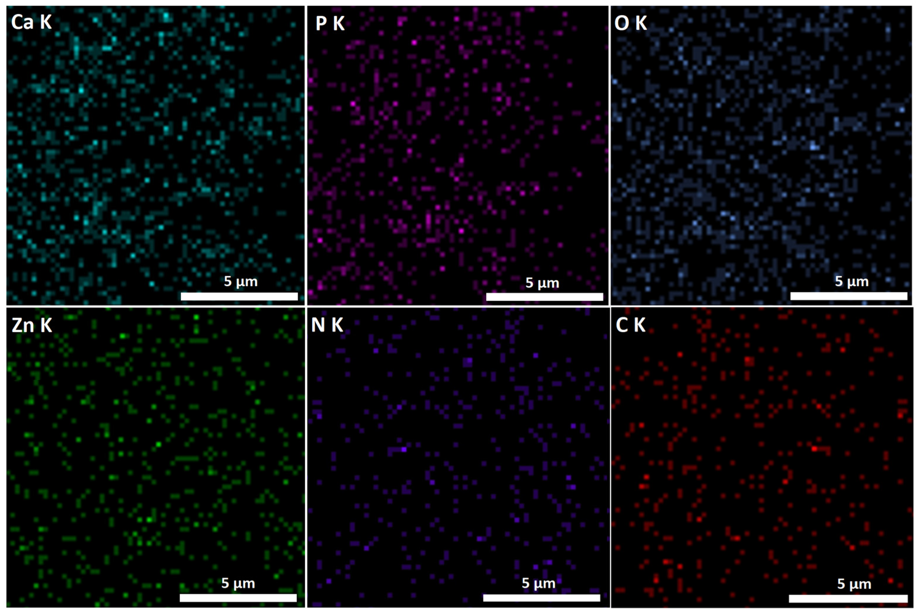 Coatings 13 00472 g004