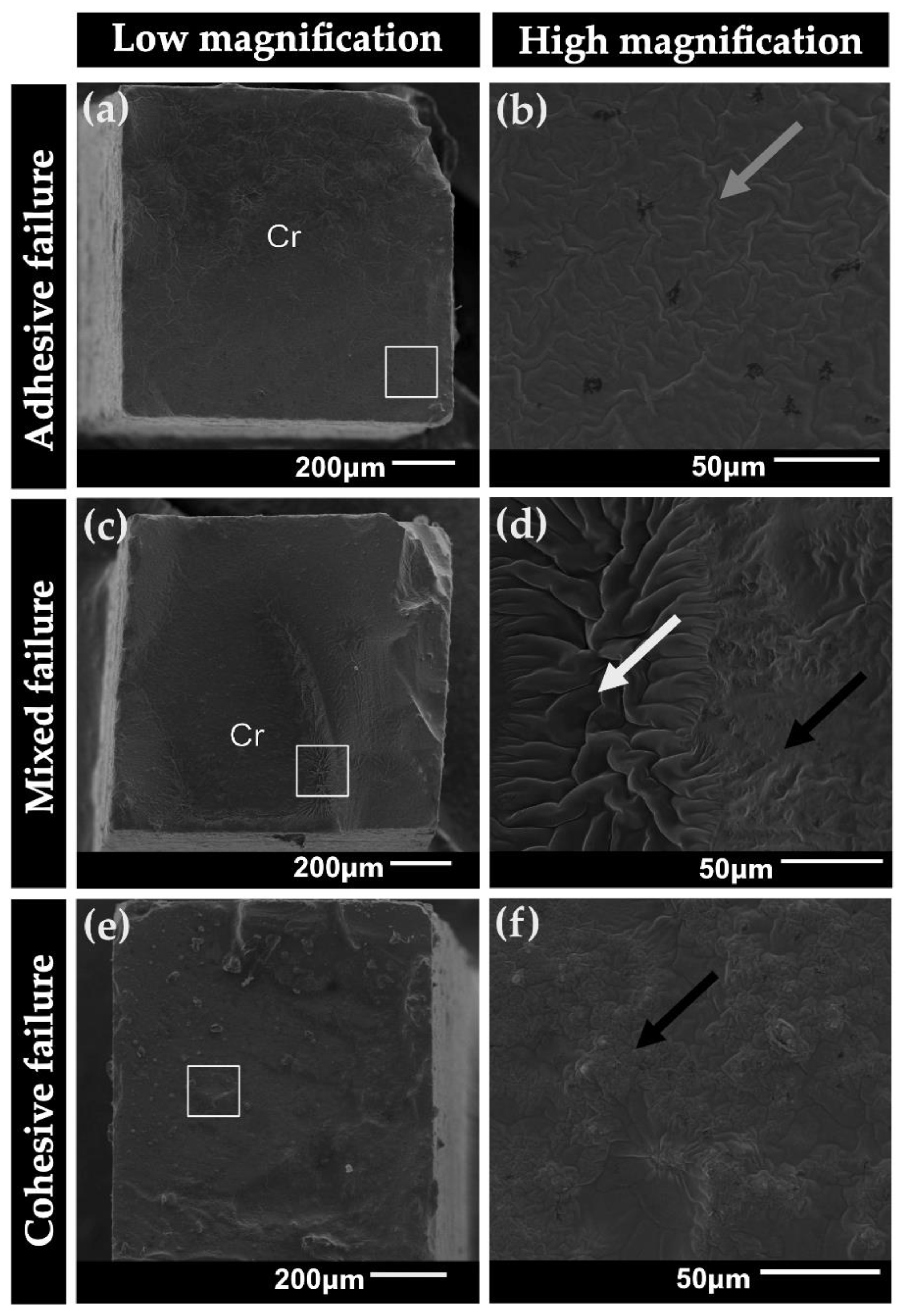 Coatings 13 00477 g004
