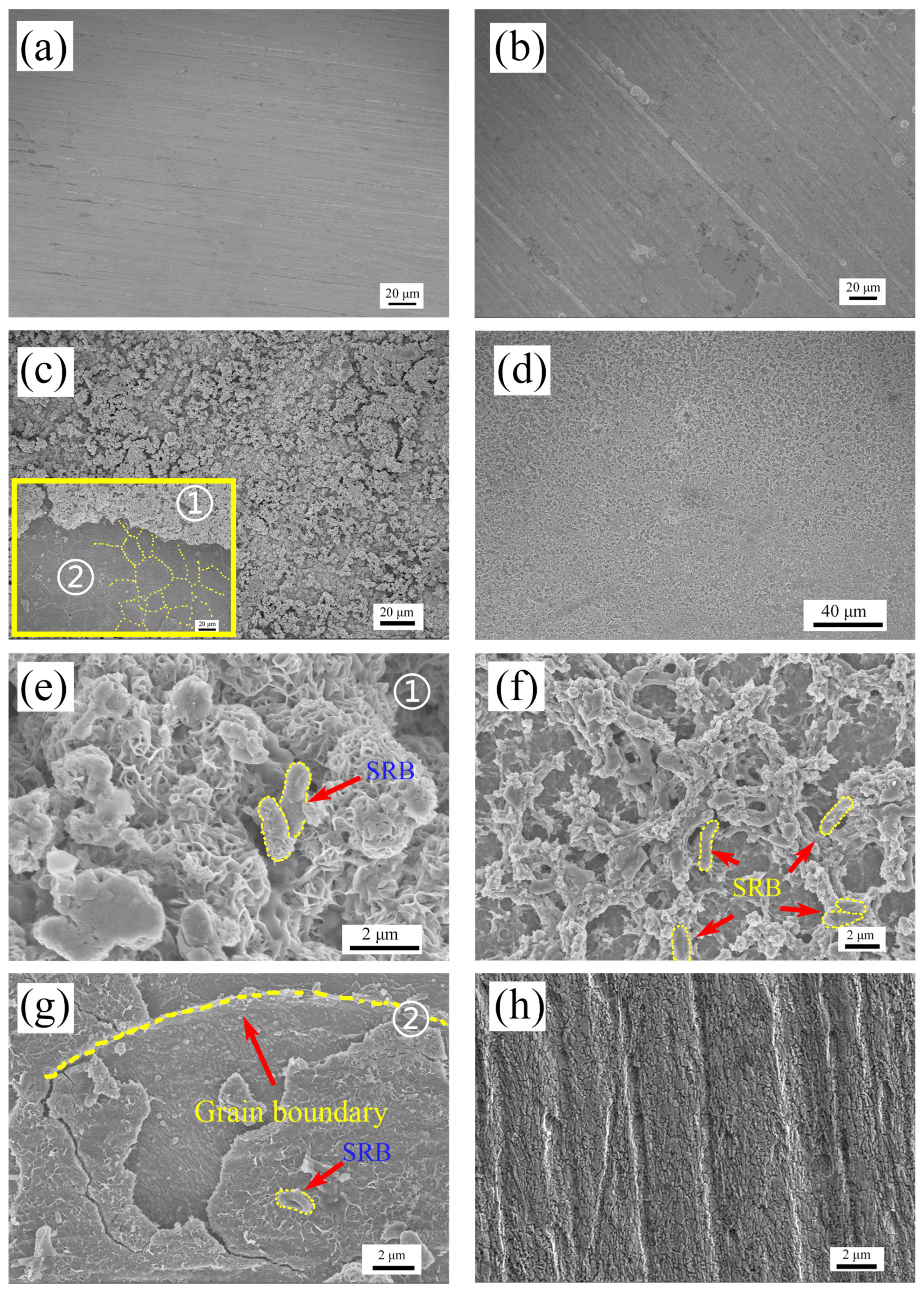 Coatings 13 00478 g001 Coatings 13 00478 g001
