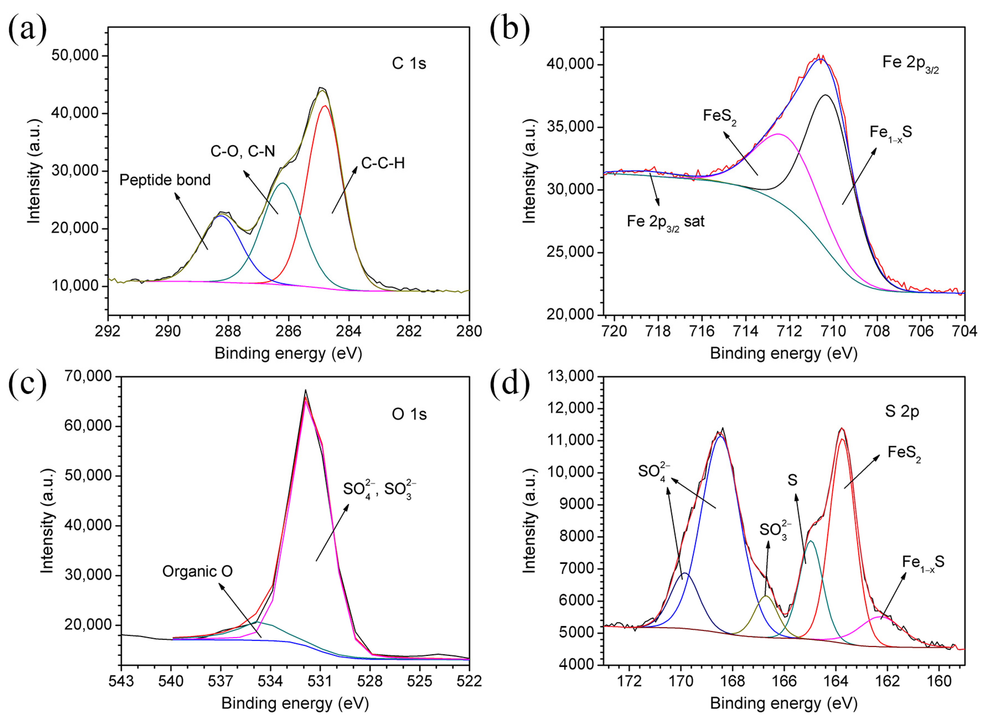 Coatings 13 00478 g003 Coatings 13 00478 g003