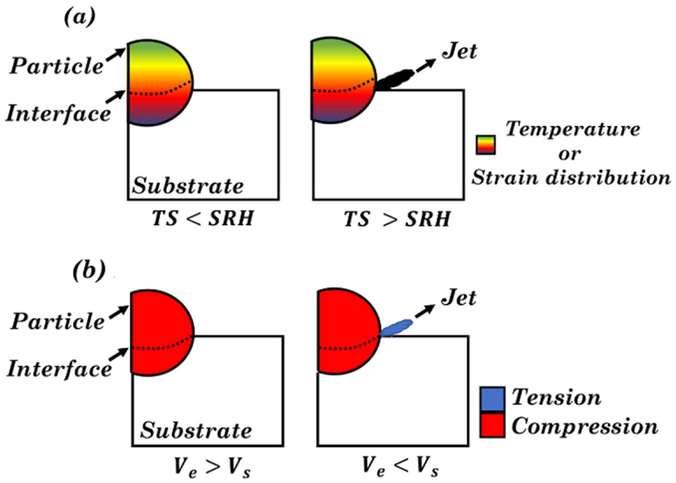 Coatings 13 00479 g002