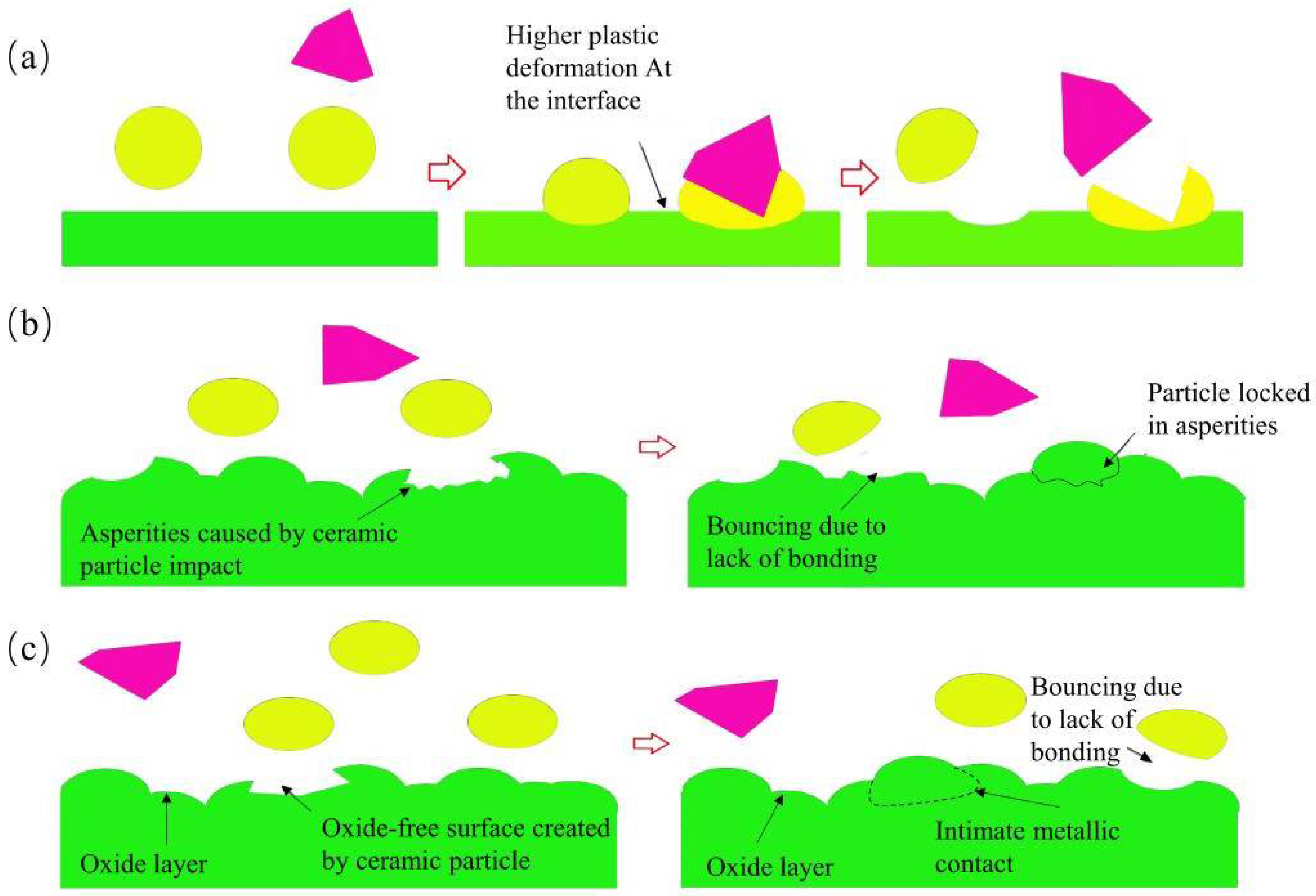 Coatings 13 00479 g003