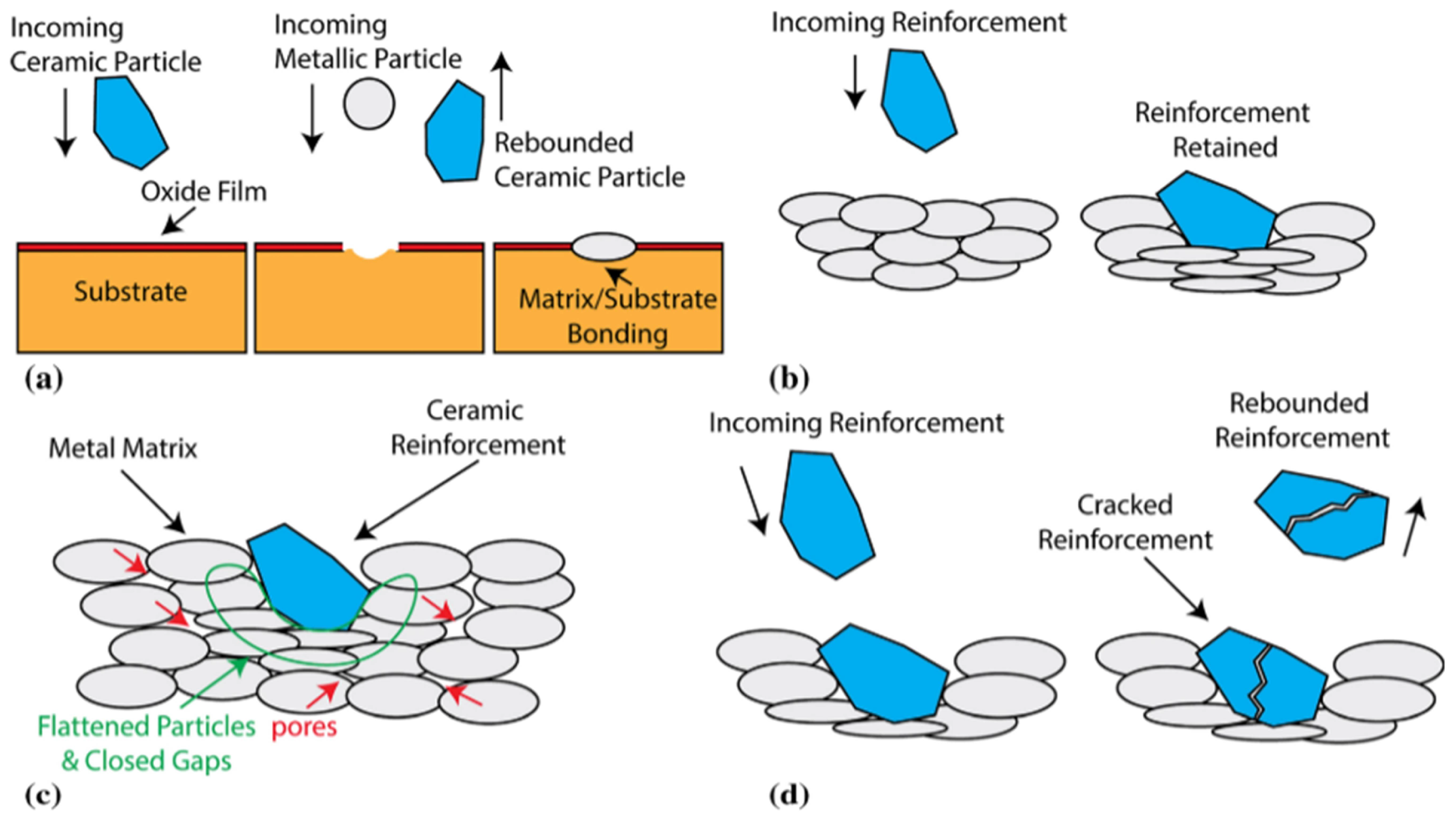 Coatings 13 00479 g004