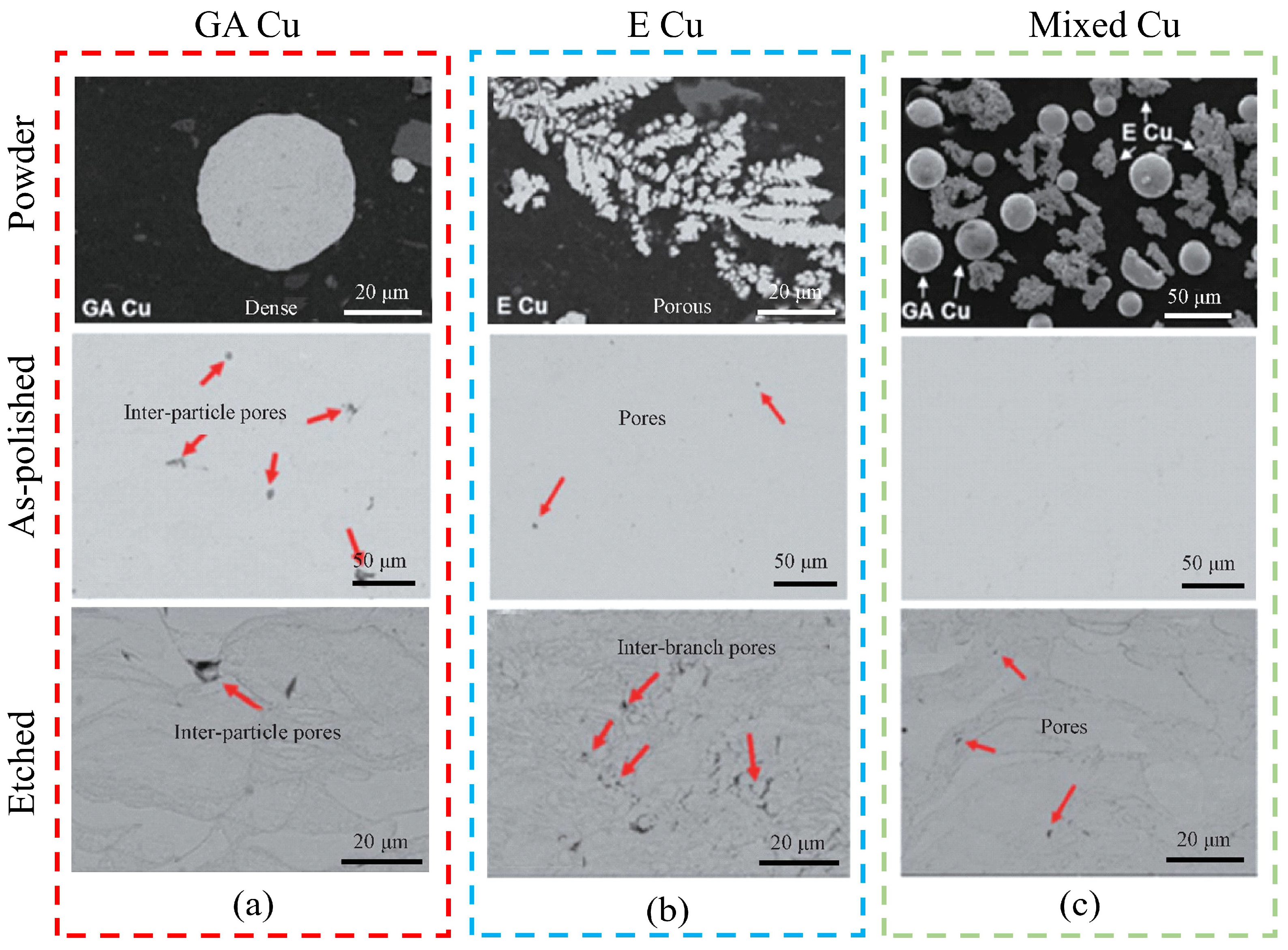Coatings 13 00479 g006