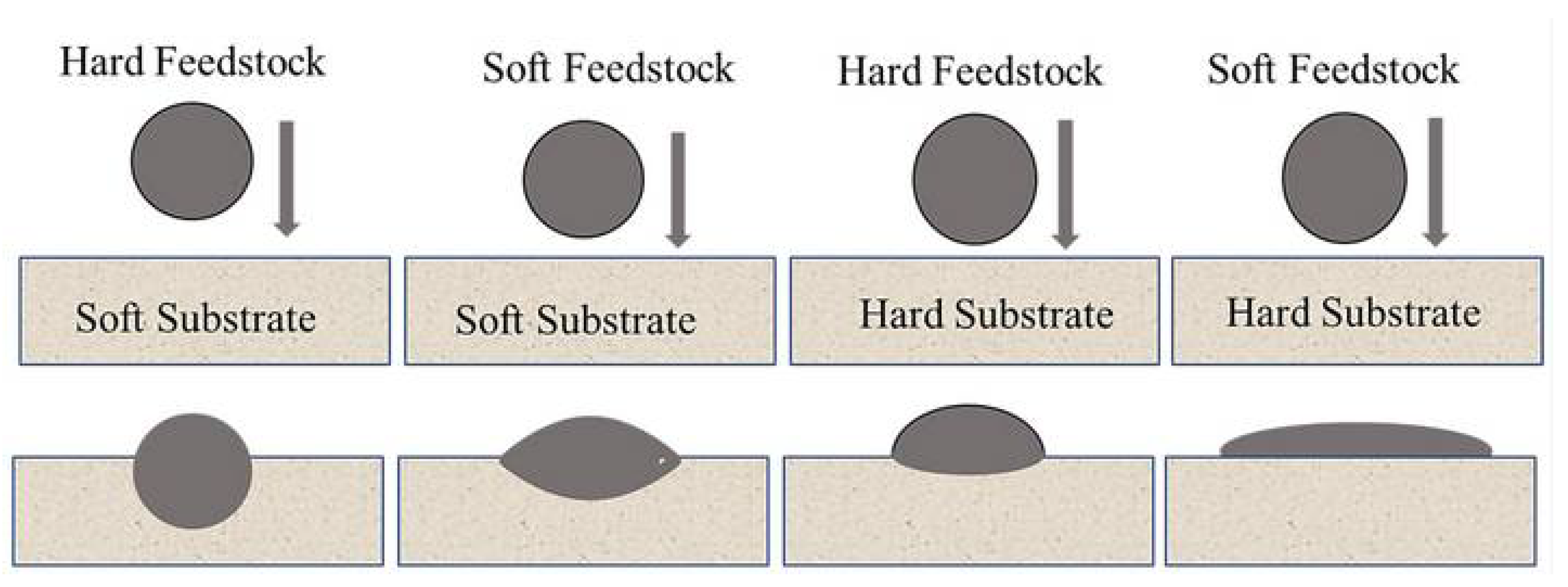 Coatings 13 00479 g008