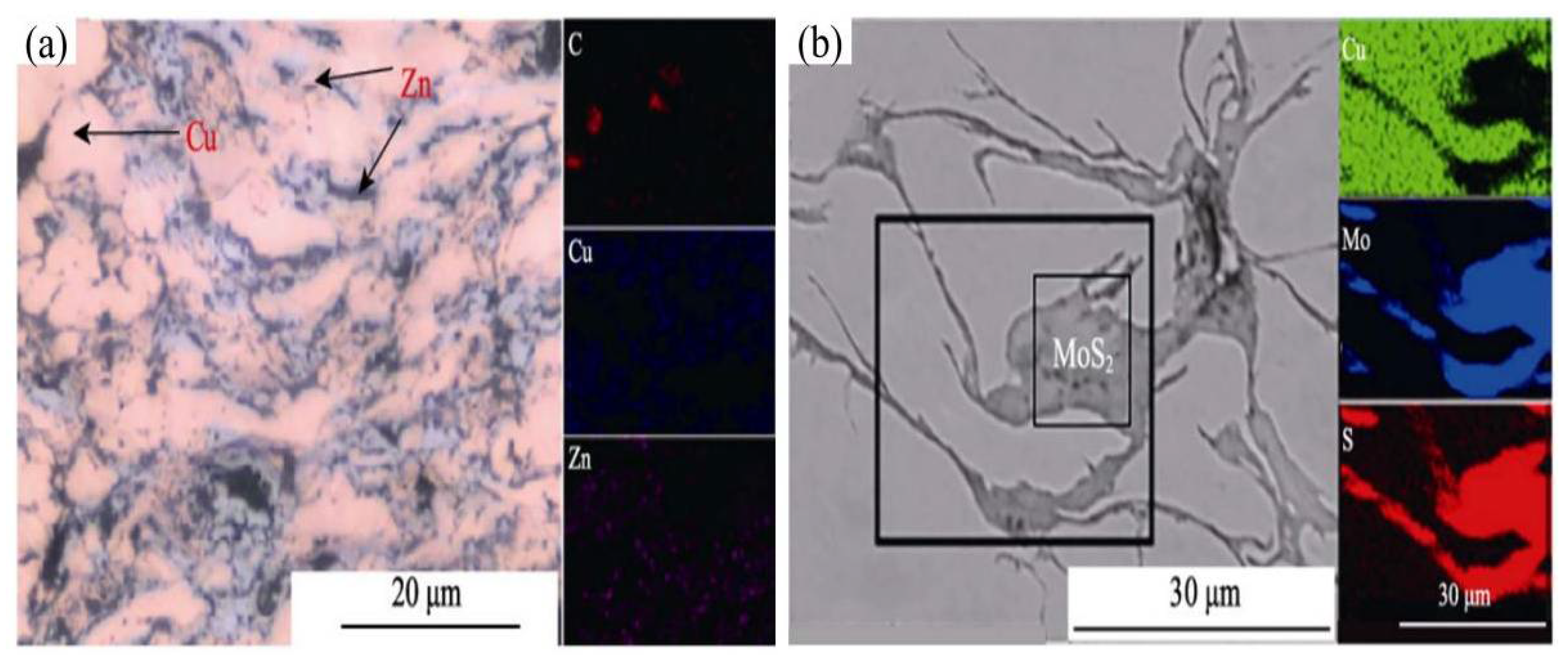 Coatings 13 00479 g016