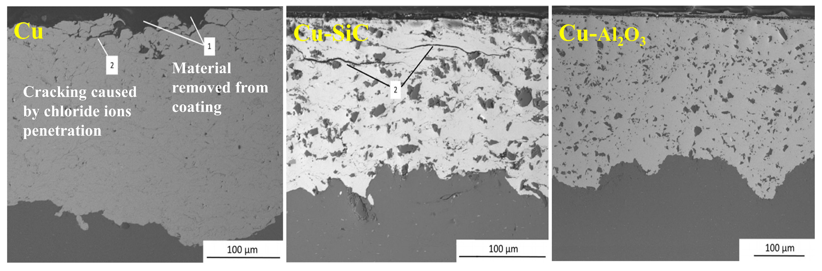 Coatings 13 00479 g017