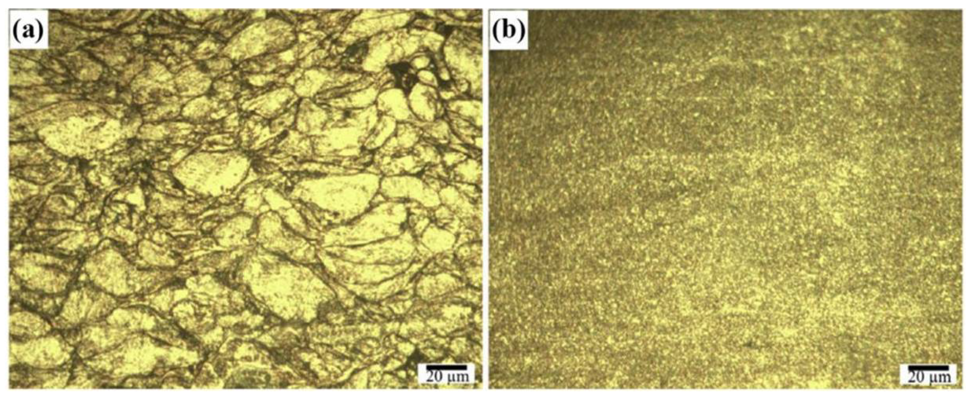 Coatings 13 00479 g024