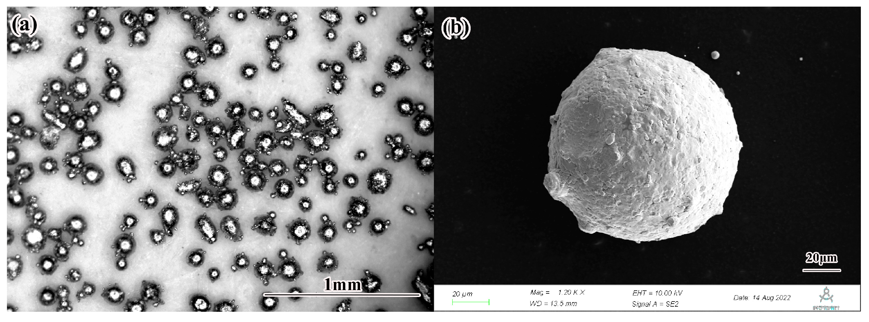 Coatings 13 00481 g001 Coatings 13 00481 g001
