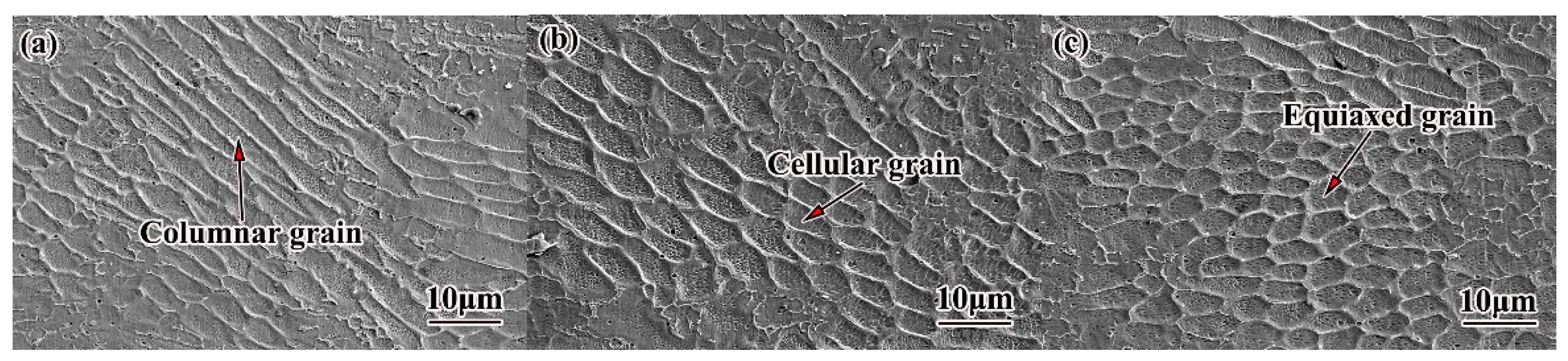 Coatings 13 00481 g006 Coatings 13 00481 g006