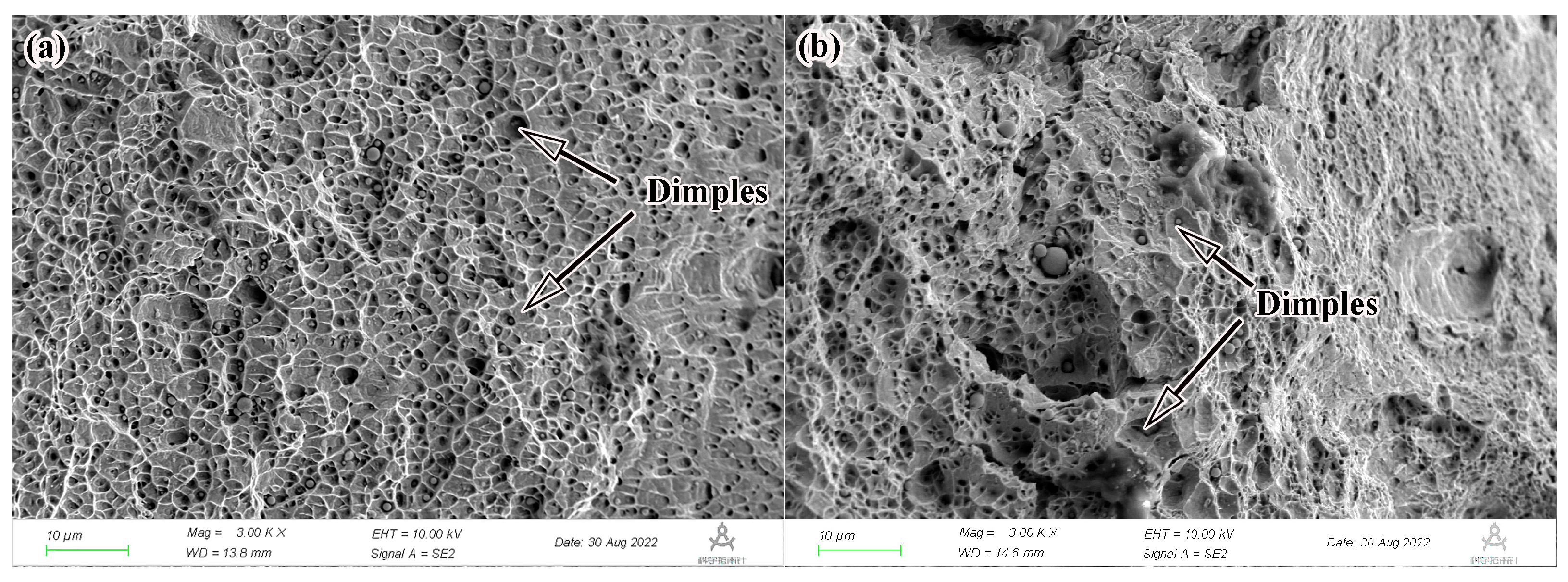 Coatings 13 00481 g010a Coatings 13 00481 g010a