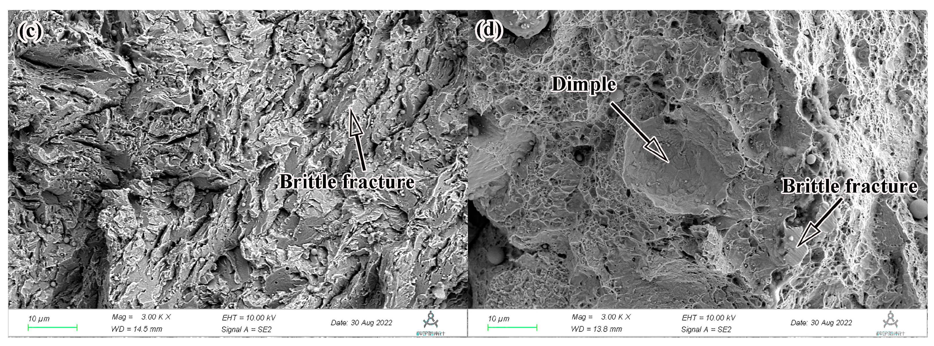 Coatings 13 00481 g010b Coatings 13 00481 g010b