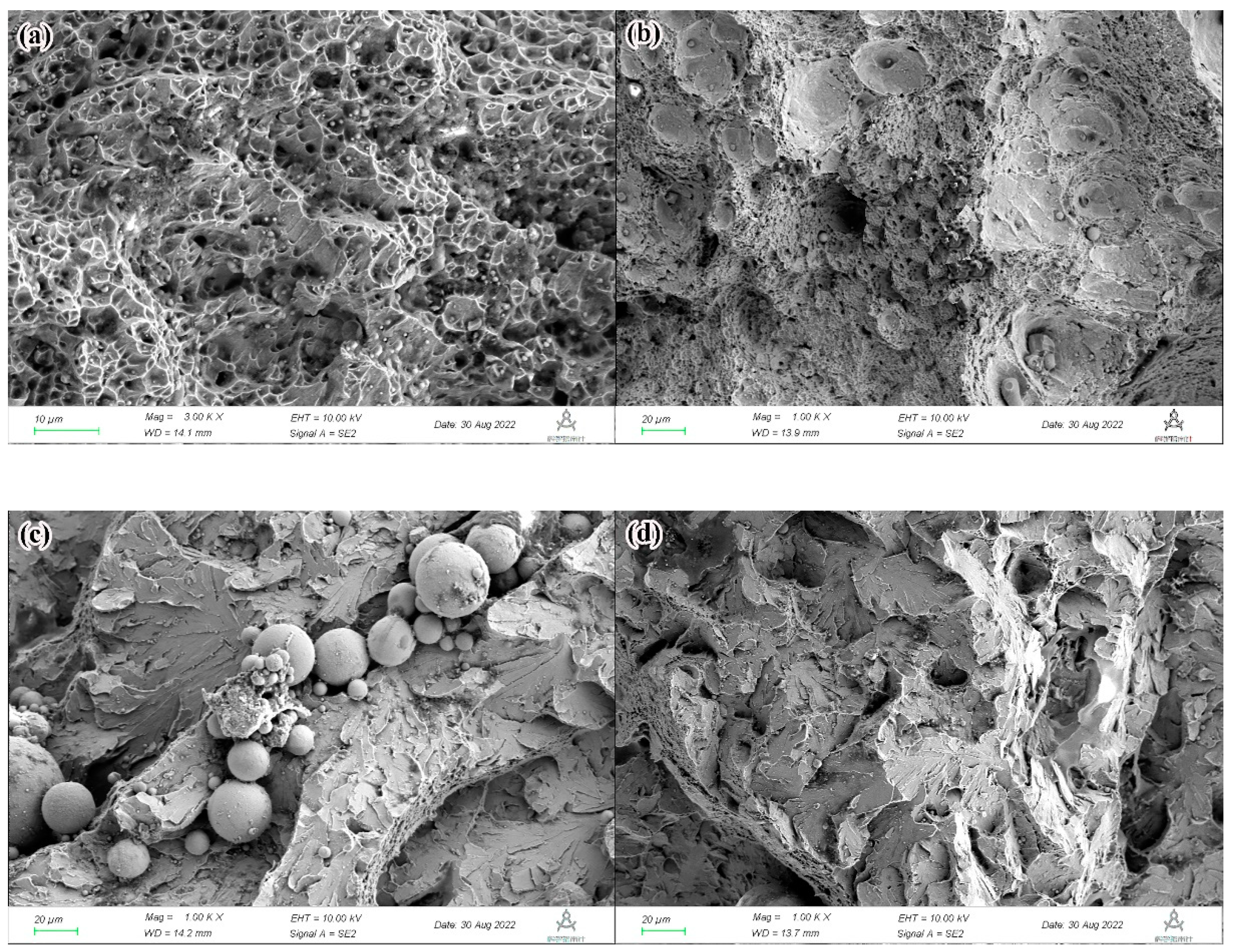 Coatings 13 00481 g012 Coatings 13 00481 g012
