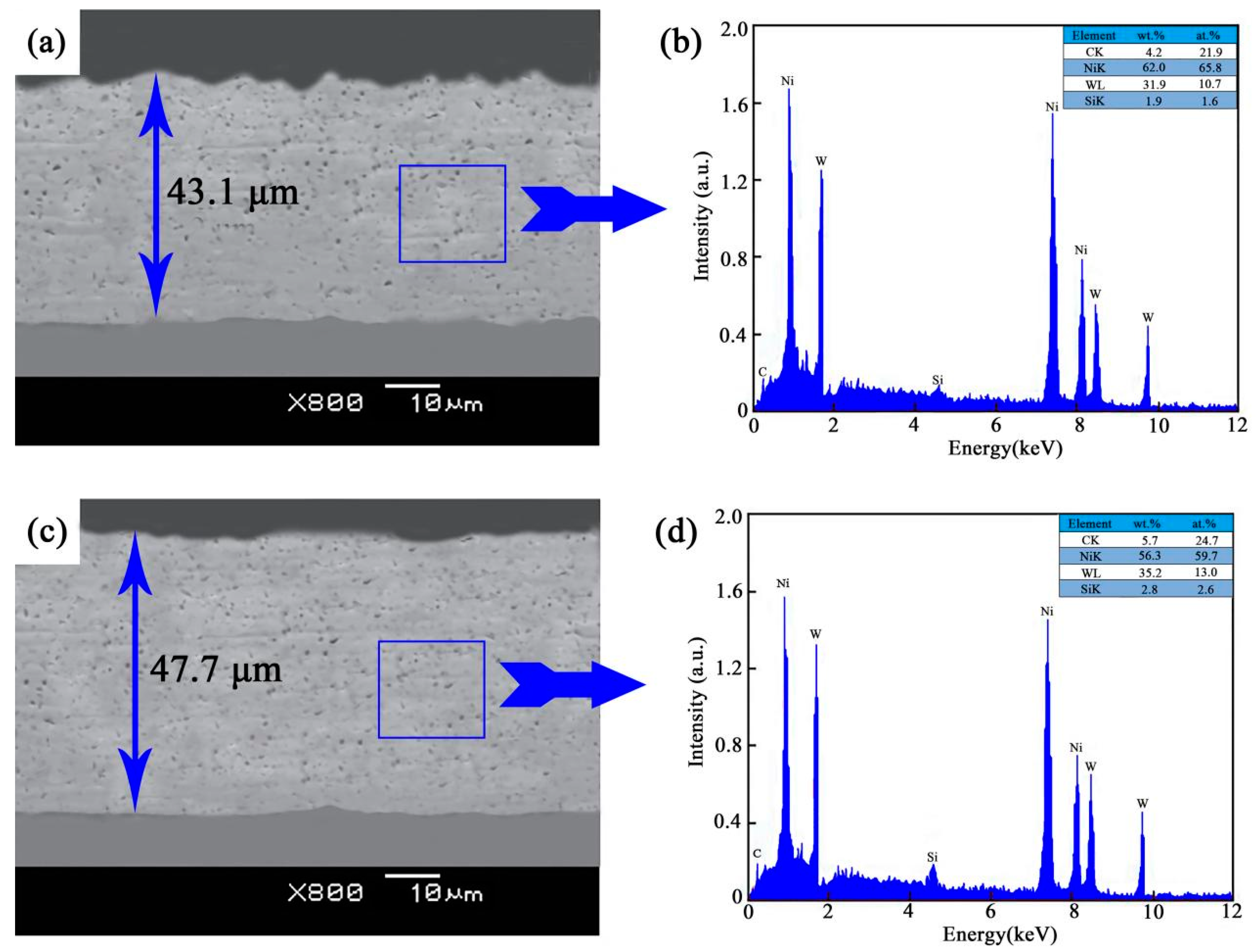 Coatings 13 00484 g002a