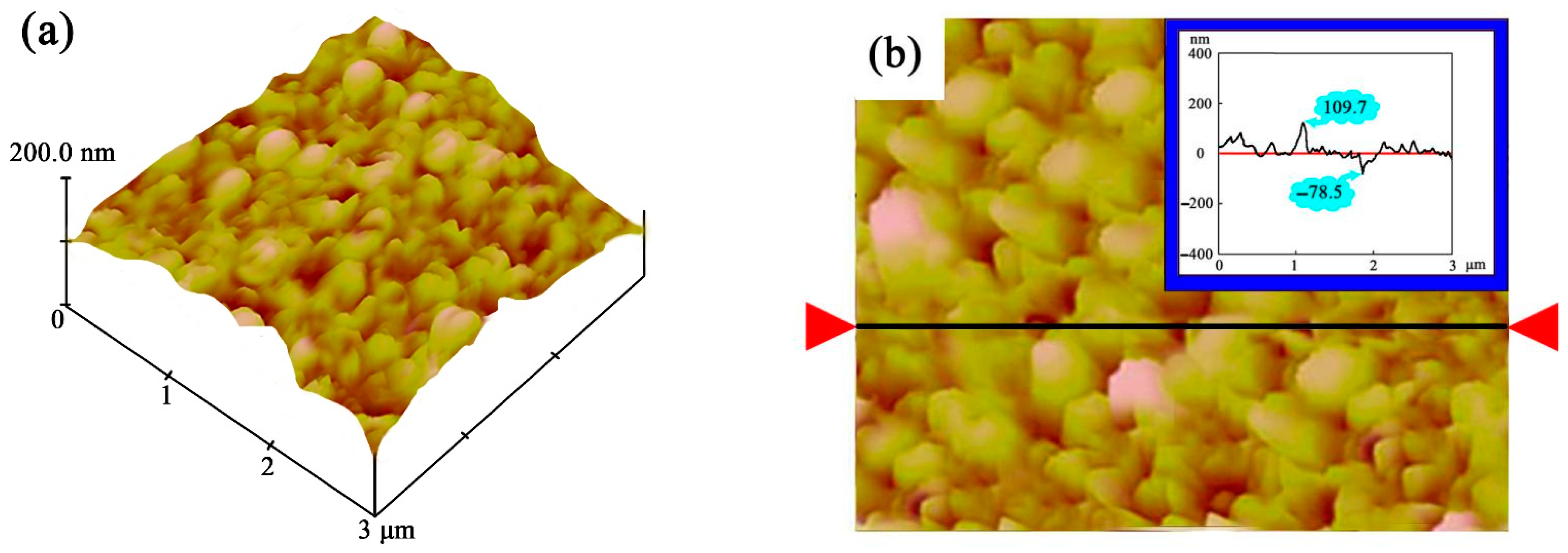 Coatings 13 00484 g004a