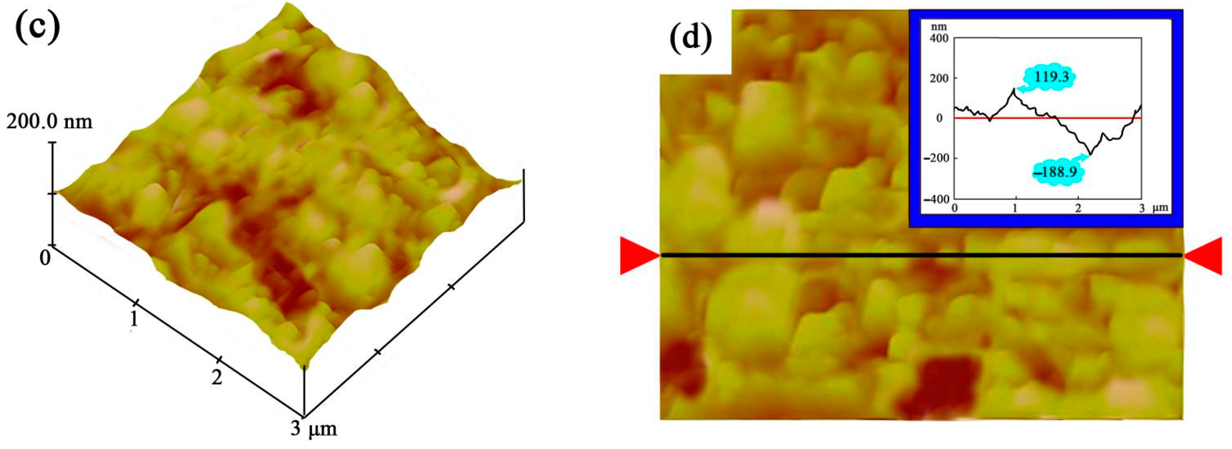 Coatings 13 00484 g004b