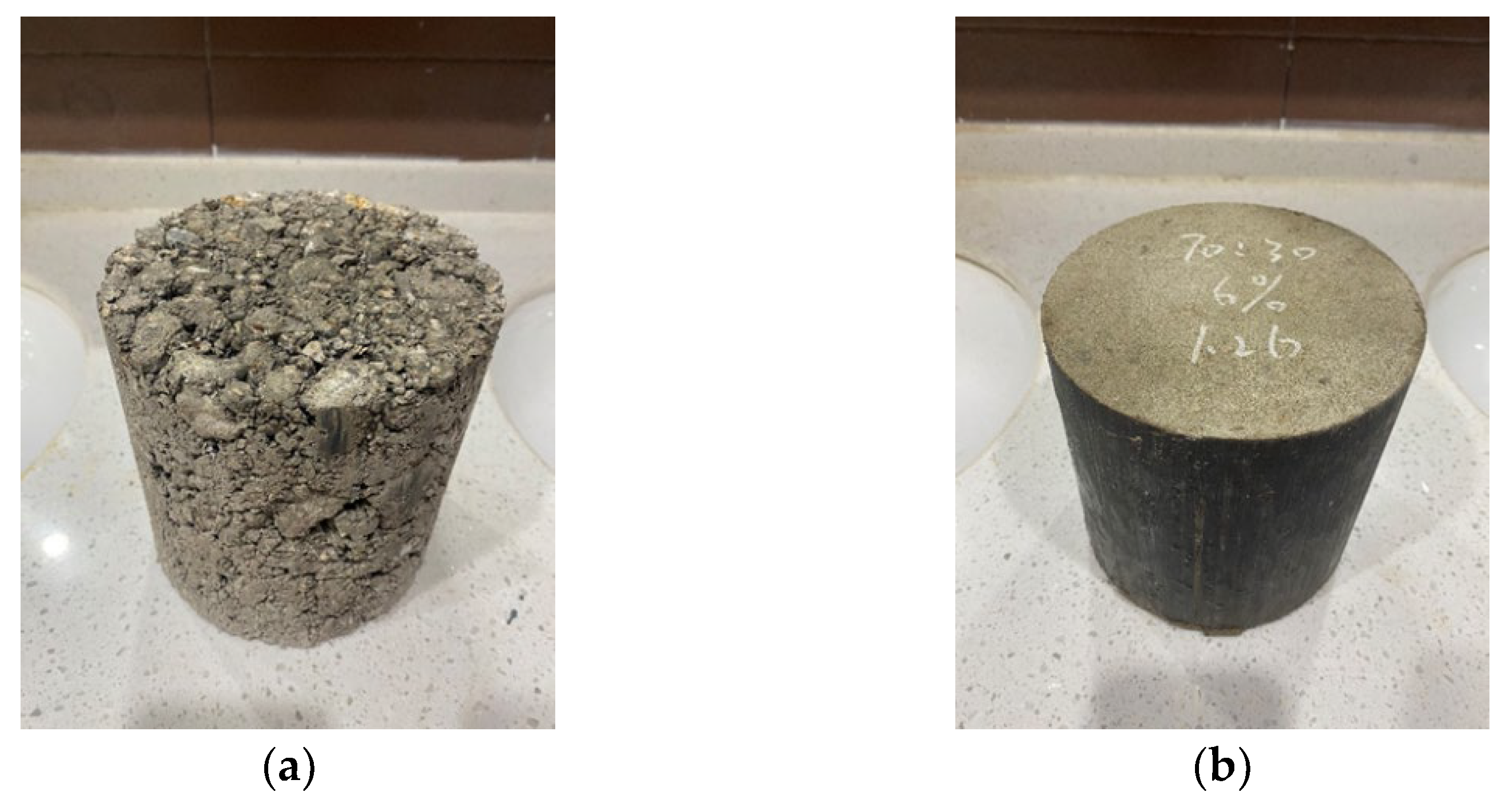 Coatings 13 00487 g011