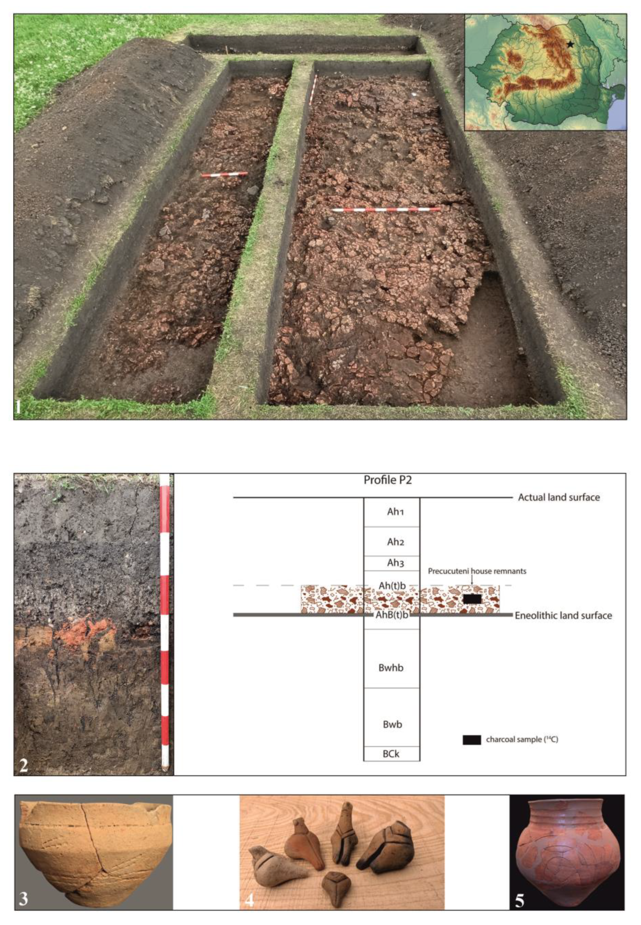 Coatings 13 00488 g001