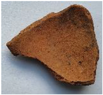 Coatings 13 00488 i001