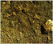 Coatings 13 00488 i005