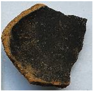 Coatings 13 00488 i007