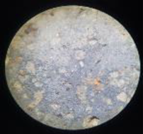 Coatings 13 00488 i009