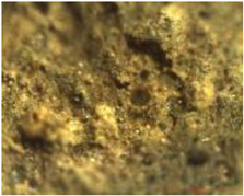 Coatings 13 00488 i011