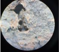 Coatings 13 00488 i012