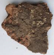 Coatings 13 00488 i013